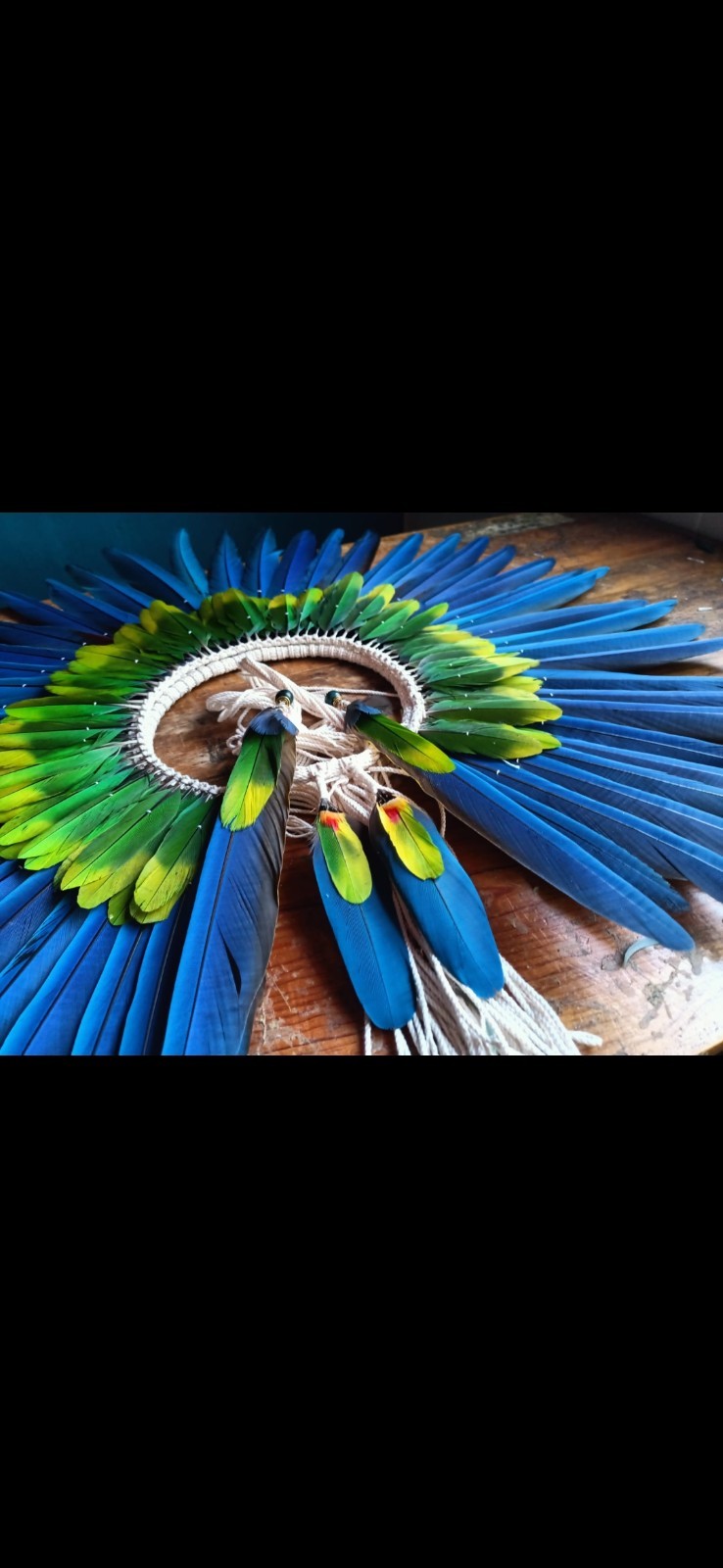 Authentic AMAZONIAN BRAZILIAN Indigenous KAYAPO Feather Headdres