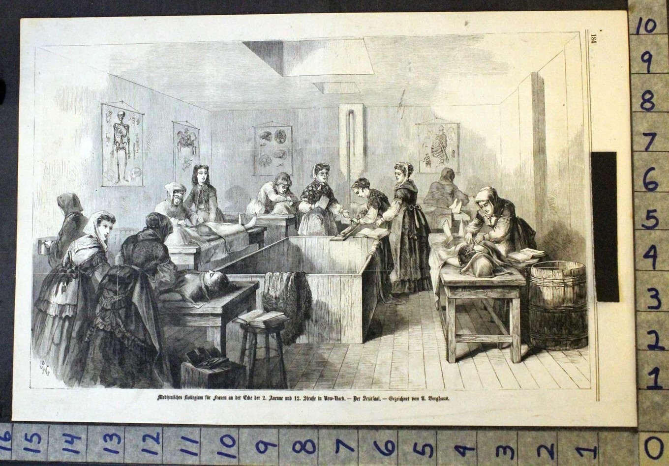 1880 MEDICAL HOSPITAL TEACH EDUCATION NEW YORK BERGHAUS ARTIST PRINT 33361