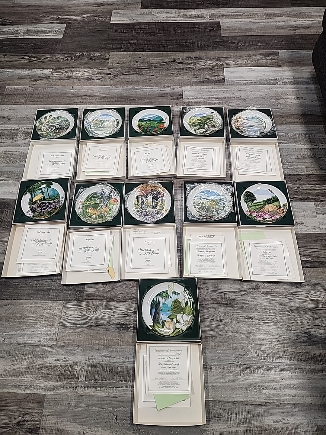 Set of 11 / Royal Windsor / Wildflowers of the South / Collector Plates /