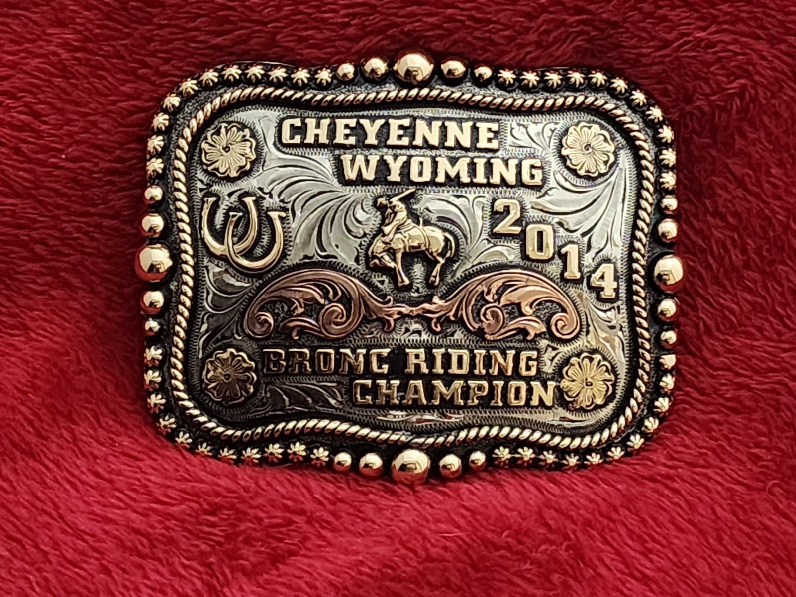 Champion Bronc Riding Trophy Belt Buckle☆Professional☆Cheyenne Wyom☆2014☆R22