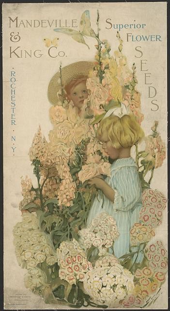 Photo:Rochester NY 1906 Mandeville King Co Flower Seed Children Poster