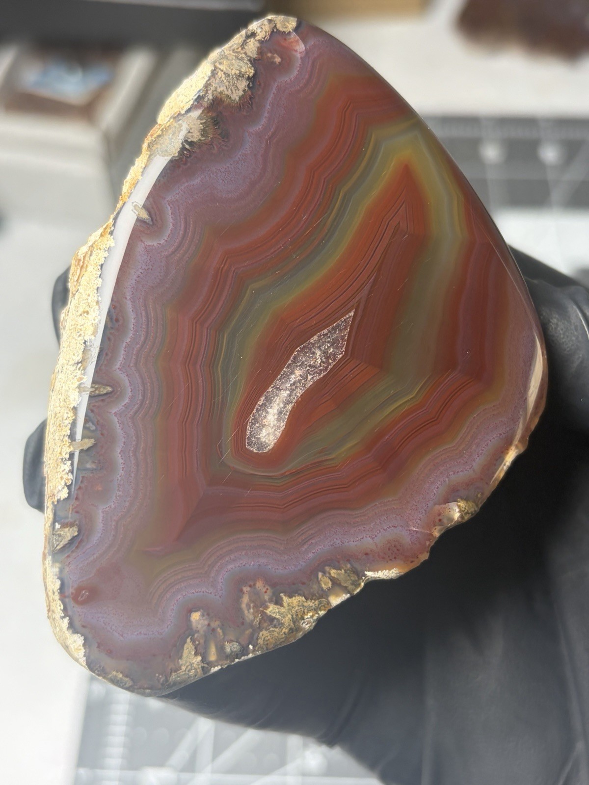 Gorgeous Laguna Agate Excellent Banding Colorful Mexico 