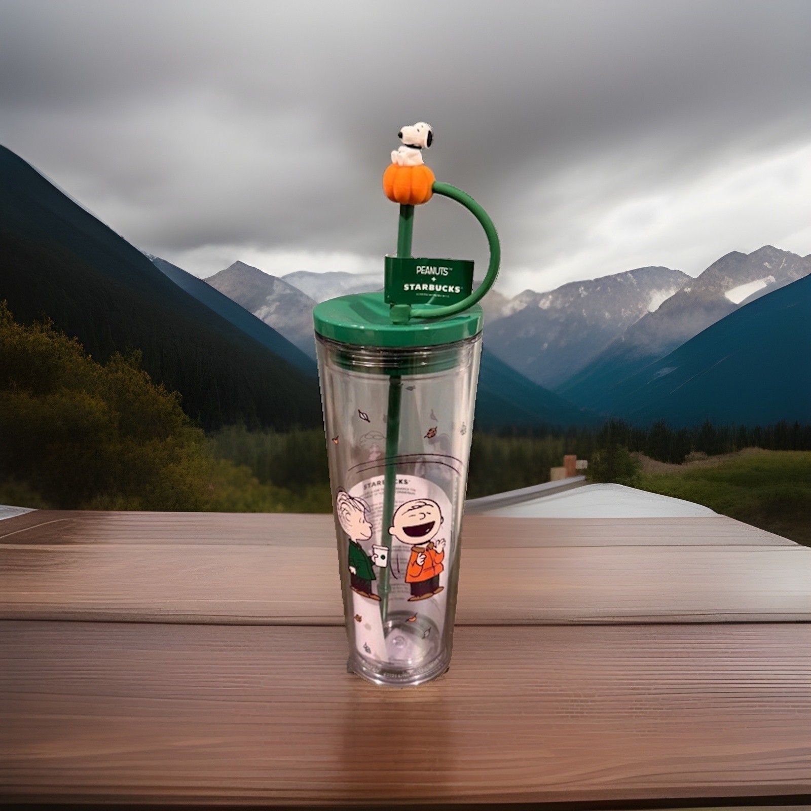 Starbucks Peanuts Snoopy Clear Tumbler Cup Green Lid & Straw Pumpkin Topper