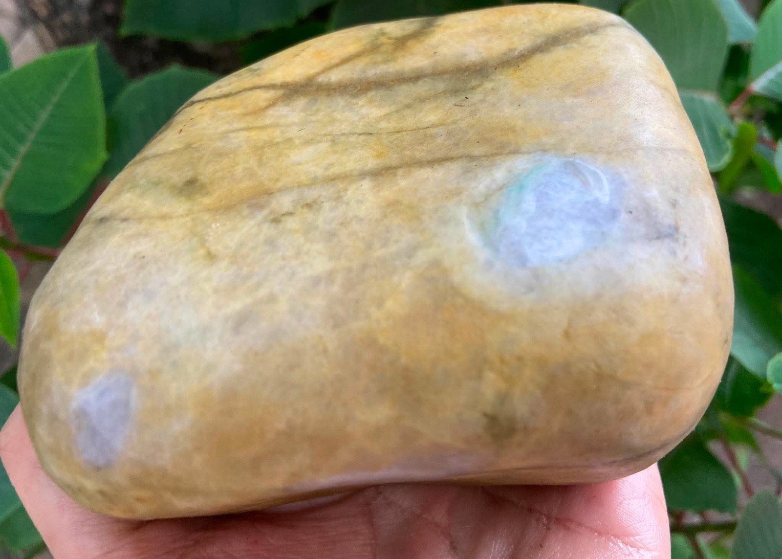 Natural Burmese Jadeite Rough Stone - 1.15 kg - Untreated, Lavender & Green - Ge