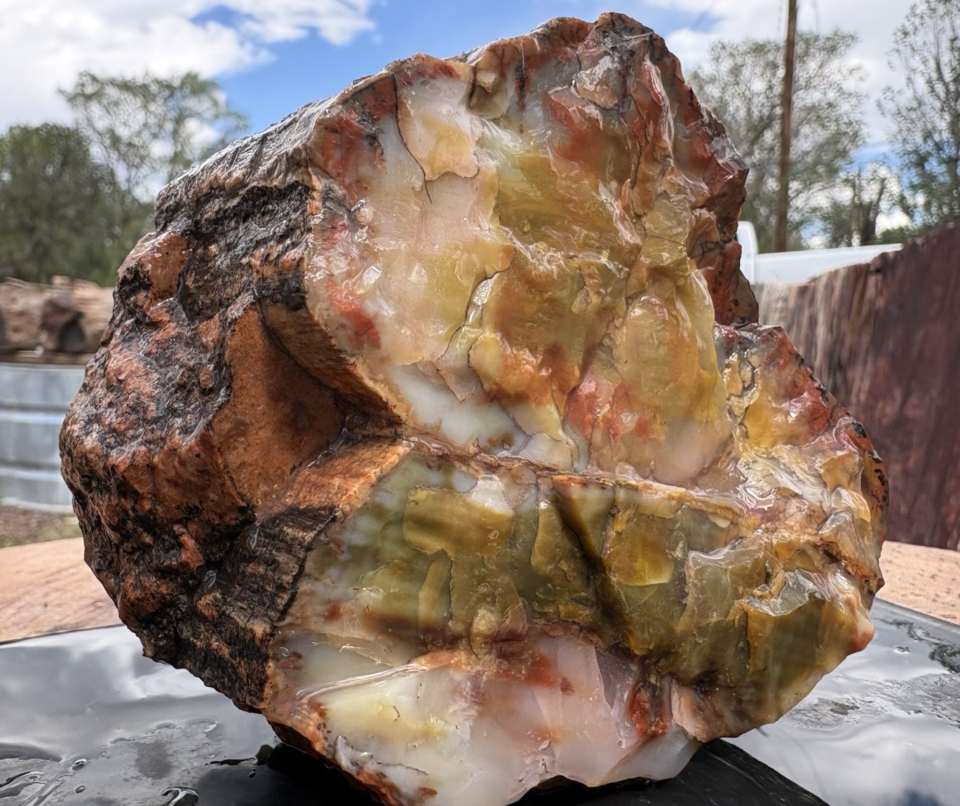 ☘️RR⛏️: Top Quality Agate/Opal Replaced Arizona Petrified Wood 2 Lb 5 Oz. 🌈