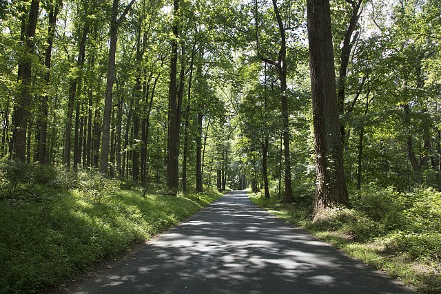 Morristown New Jersey Jockey Hollow Road 2017 National Historical Park