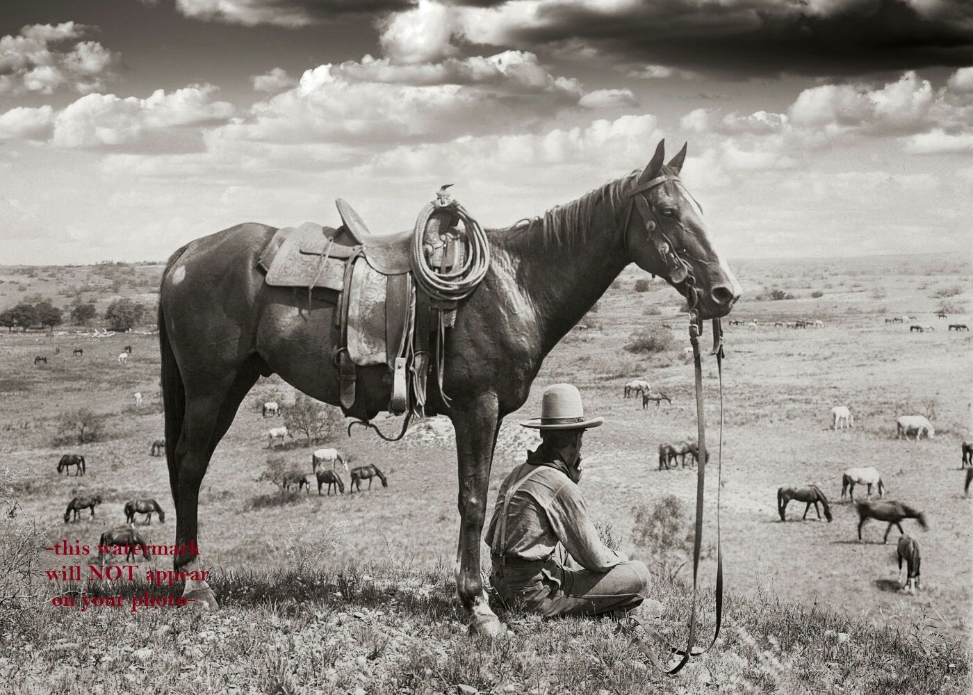 Wild West Texas Cowboy PHOTO Horse Rancher Country Sky Art Old West 1910