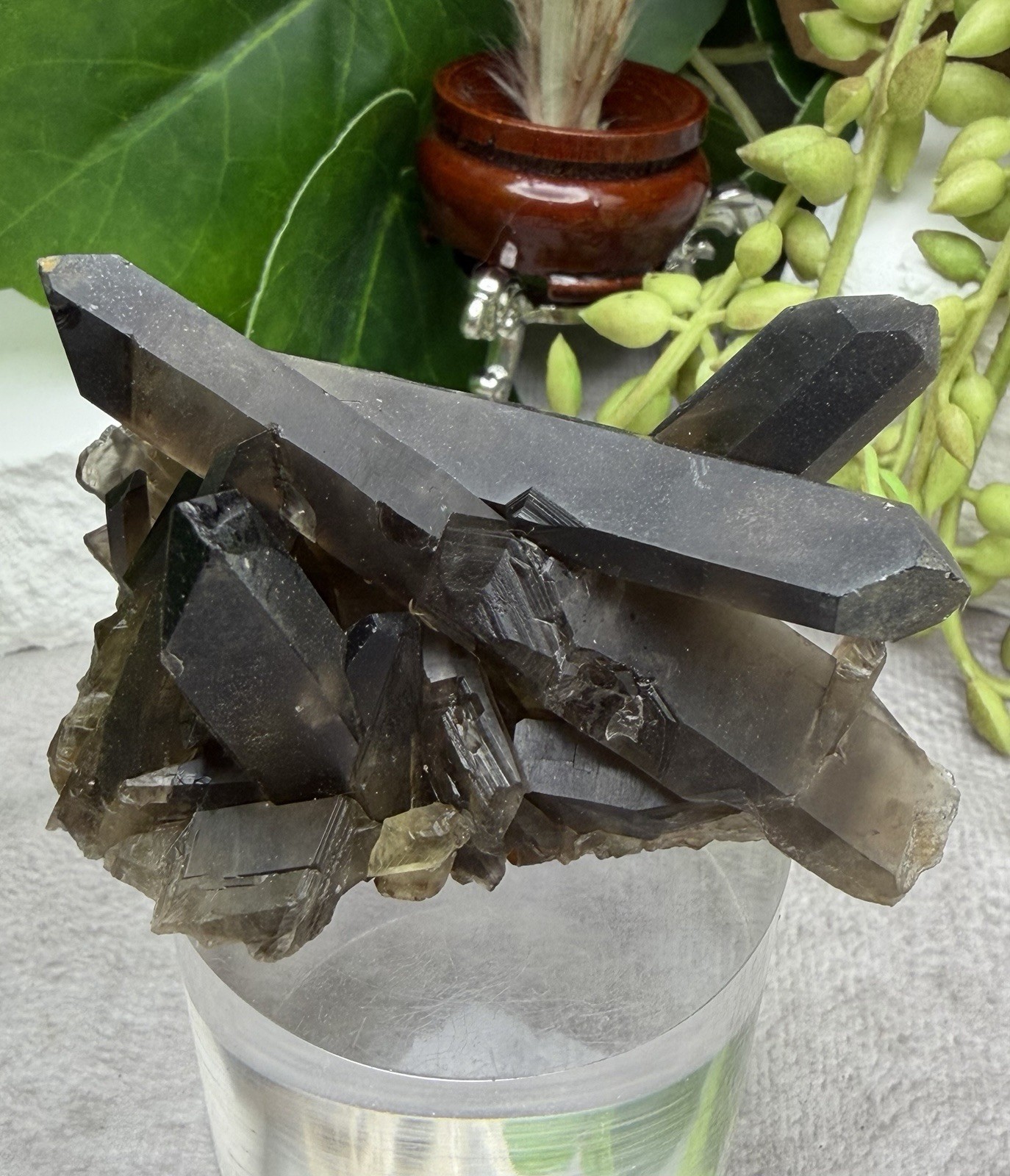 Crystal 69g Smoky Quartz Triple Point Cluster Specimen Mineral Raw