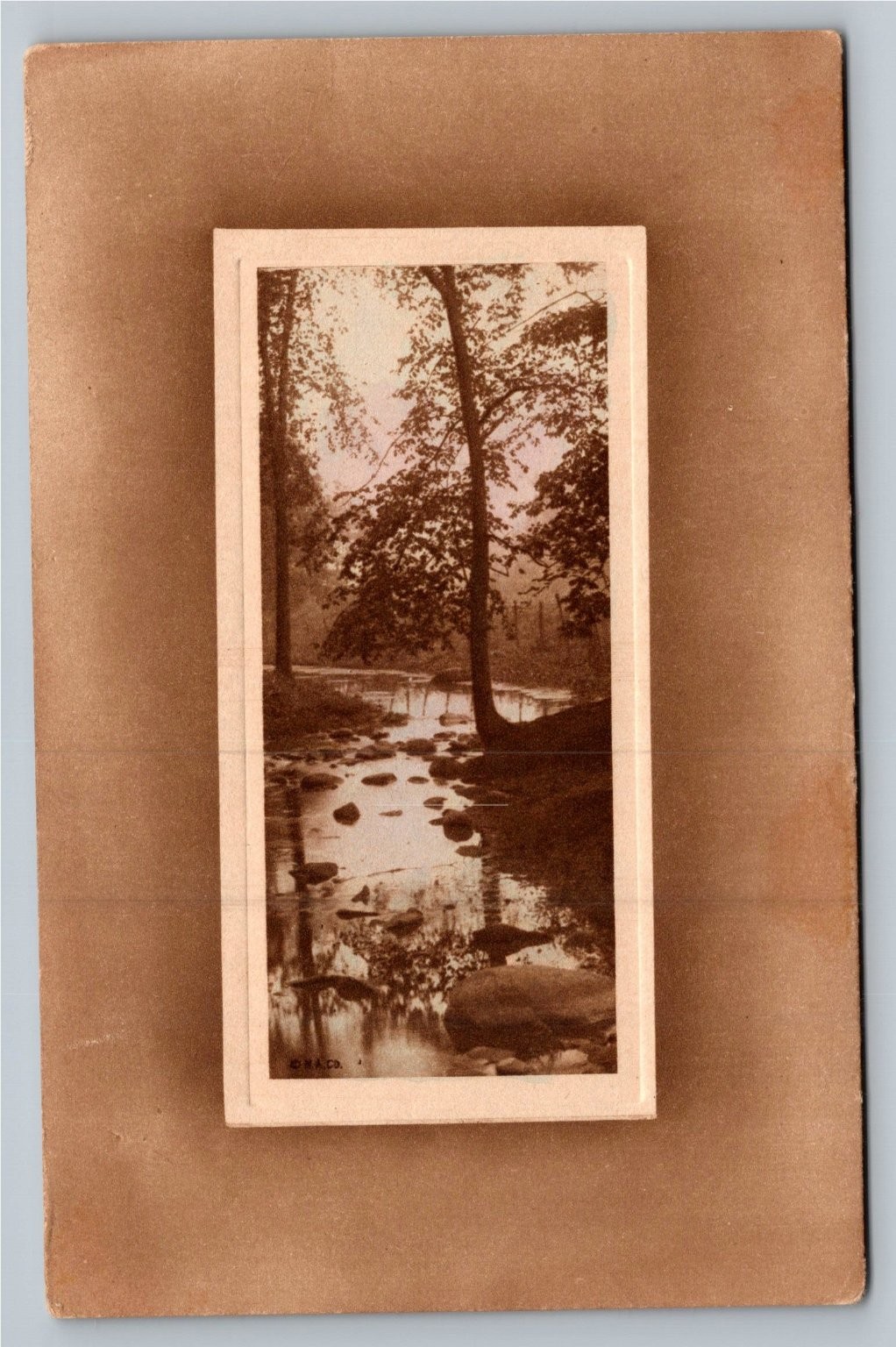 Fairmount Stream Woods Real Photo Postcard c.1910s Lancaster PA Posted