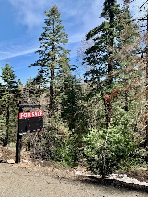Cedarpines Park, CA Vacant Lot for Sale, Close to Lake Arrowhead, CA