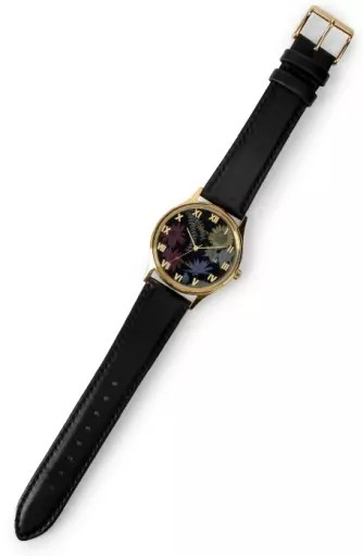 Miscellaneous Goods Saiyuki Model independent Collaboration Watch