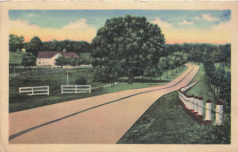 Postcard US: Rural Road Scene, White Fences, Farm, Linen 1940's