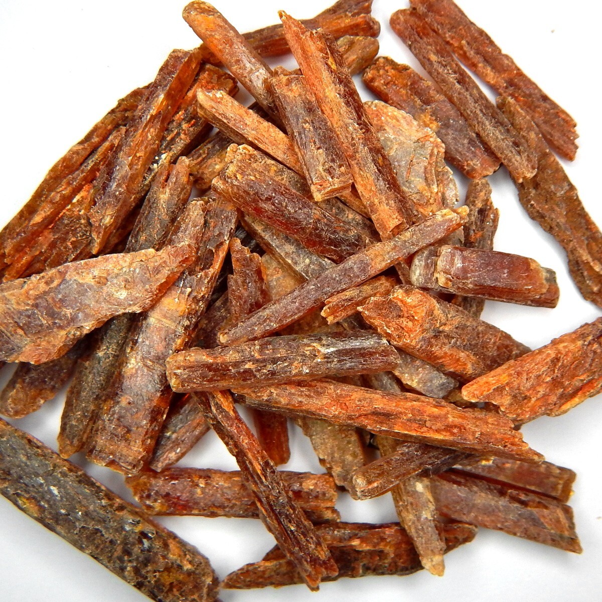 150ct Lot Large Orange Kyanite Natural Mined Unheated Gemmy Rough Crystal Spars
