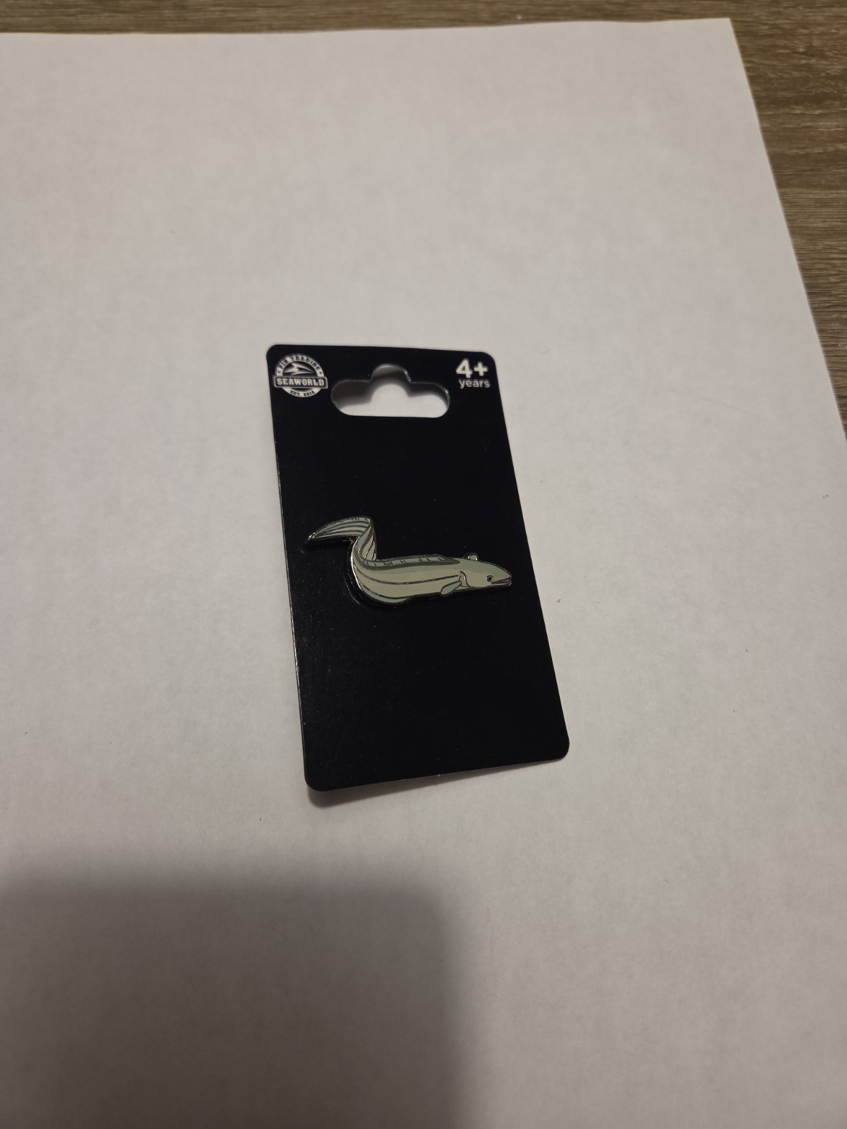 SeaWorld 2018 Pin Trading Eel Silver Core Enamel Pin