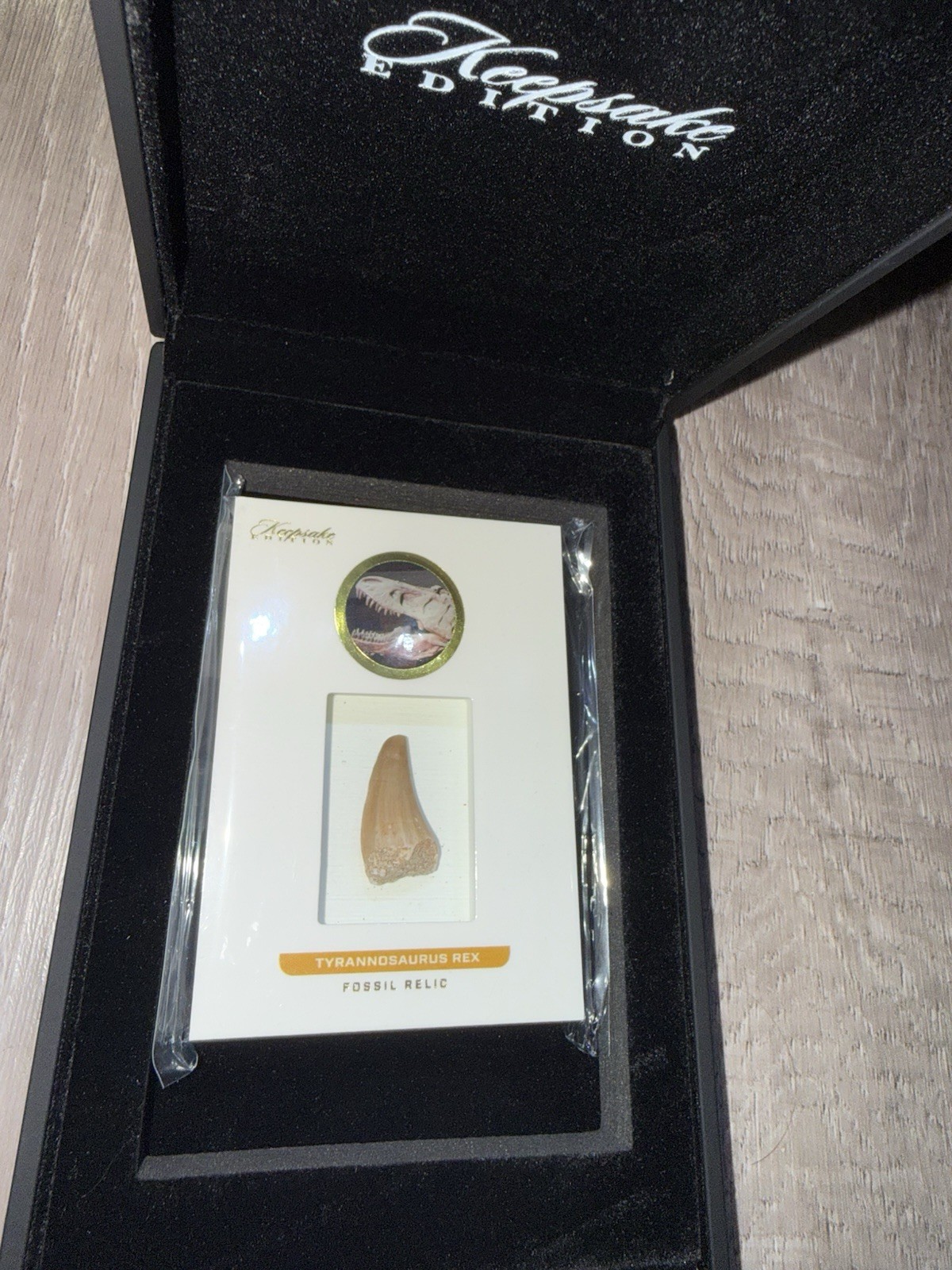 2023 Super Break Keepsake Edition Tyrannosaurus Rex Tooth T-Rex #07/50
