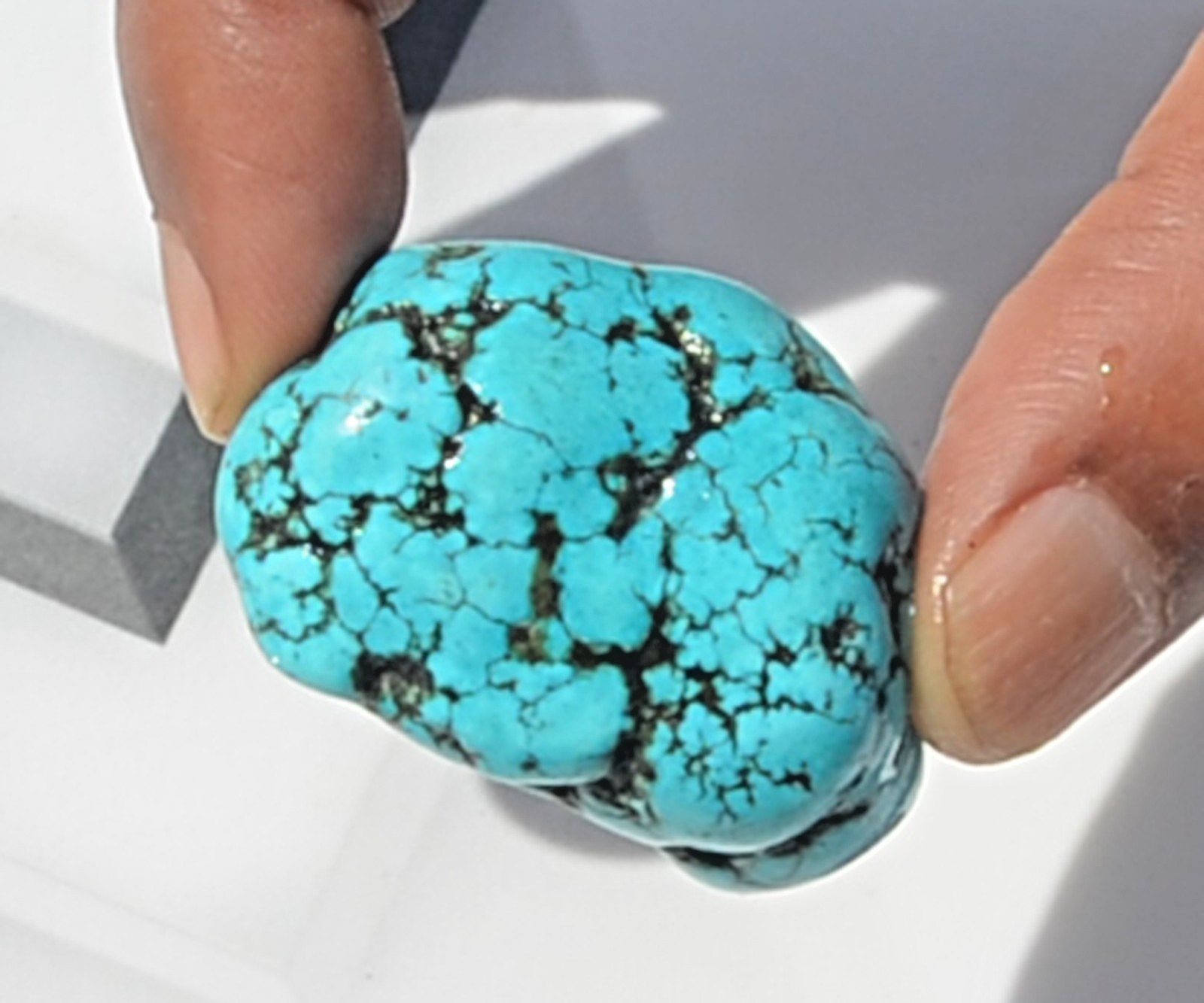 Kingman Arizona Turquoise Rough - 1/2 Pound Lots - Very High Quality