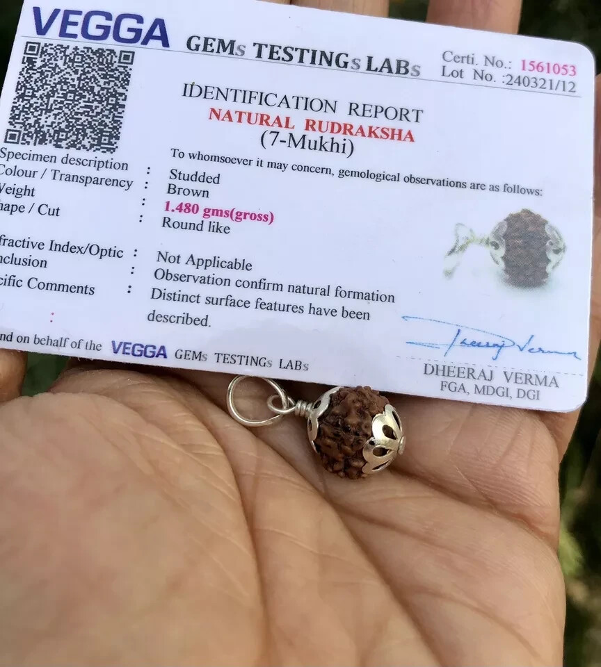 Lab Certified 925 Silver + 7 Mukhi RUDRAKSHA Rudraksh 7 Face Pendant, Original