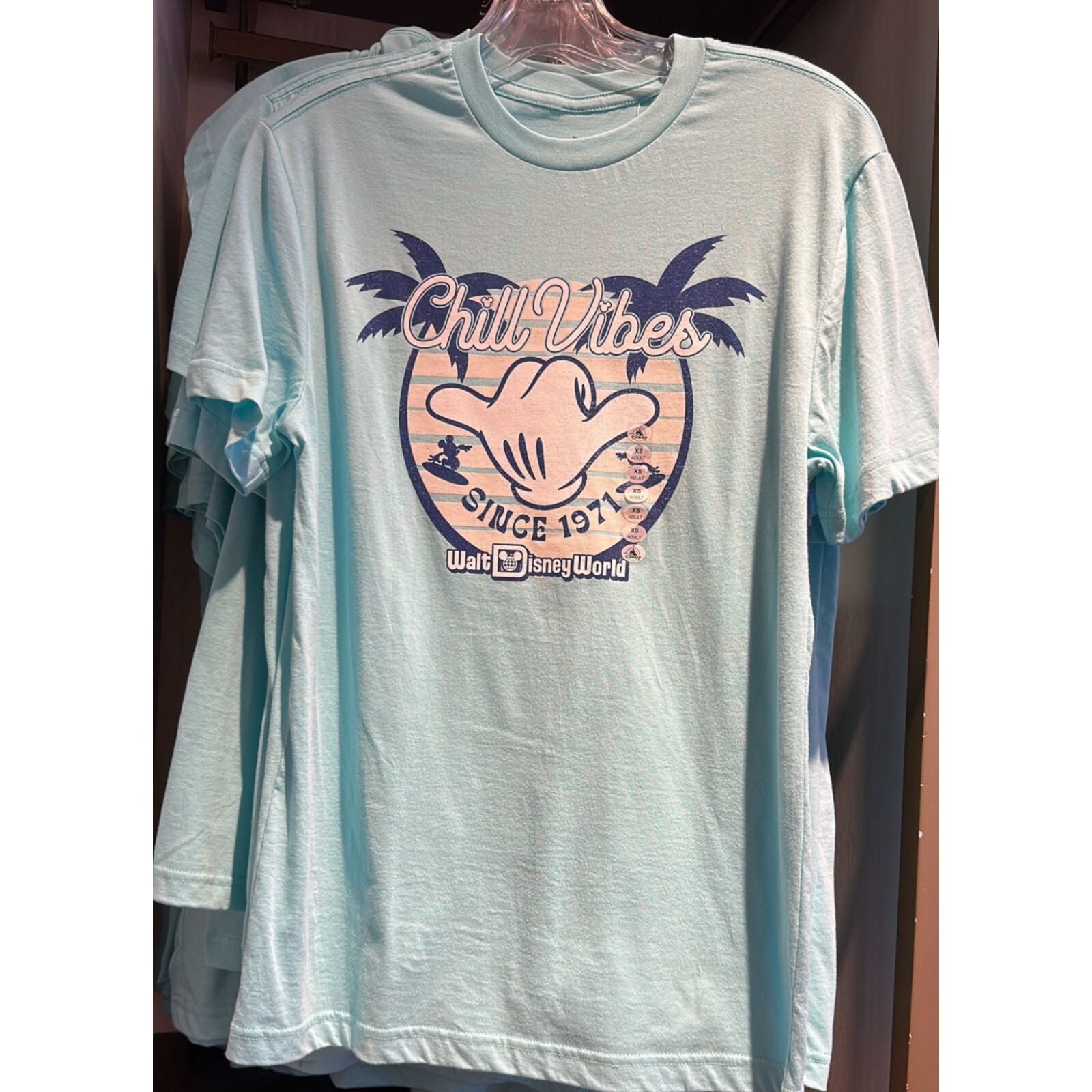 Disney Parks 2024 Chill Vibes Walt Disney World T-shirt Blue Size S New