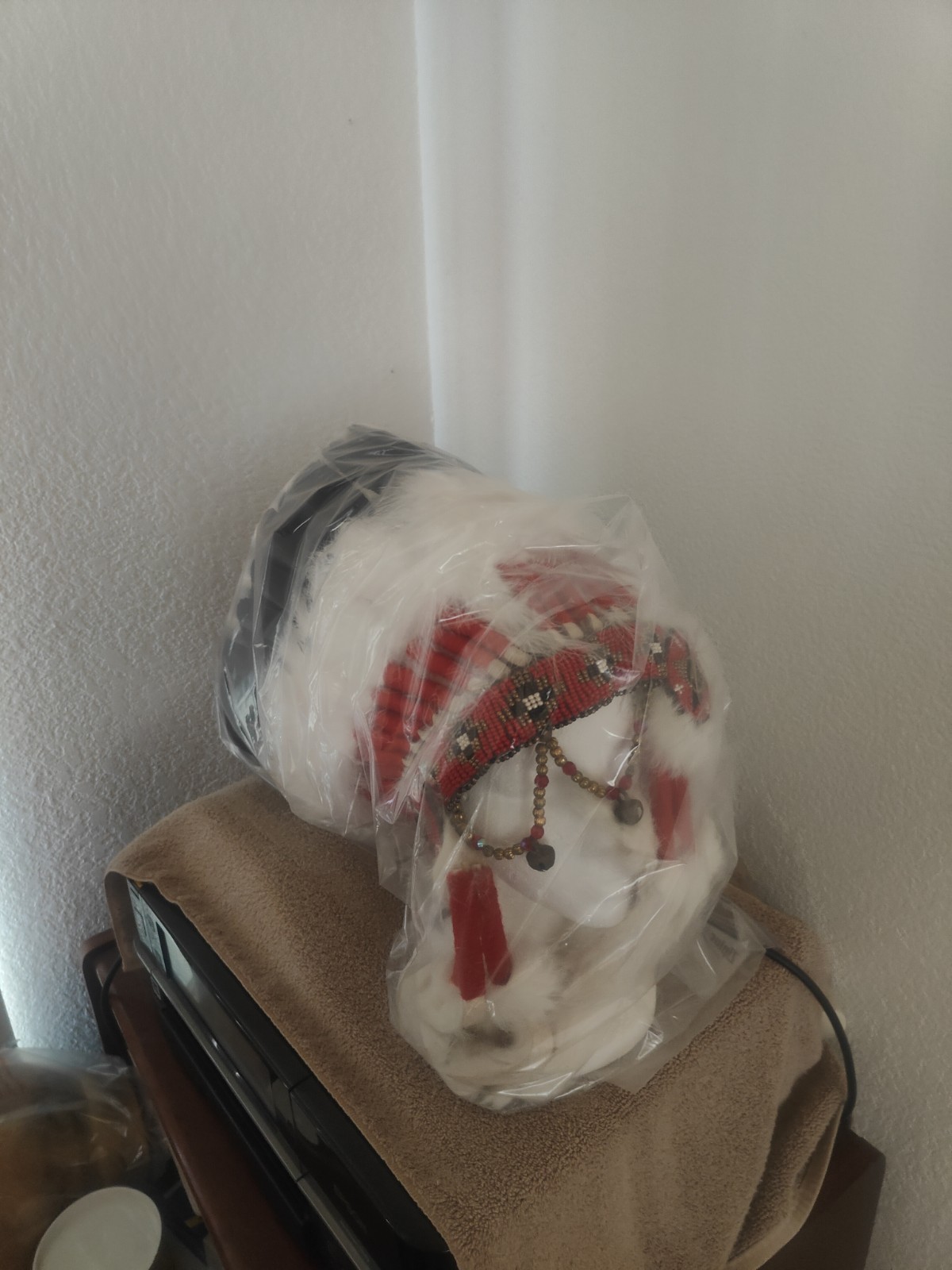 Navajo Eagle Feather Ermine Headress War Bonnet