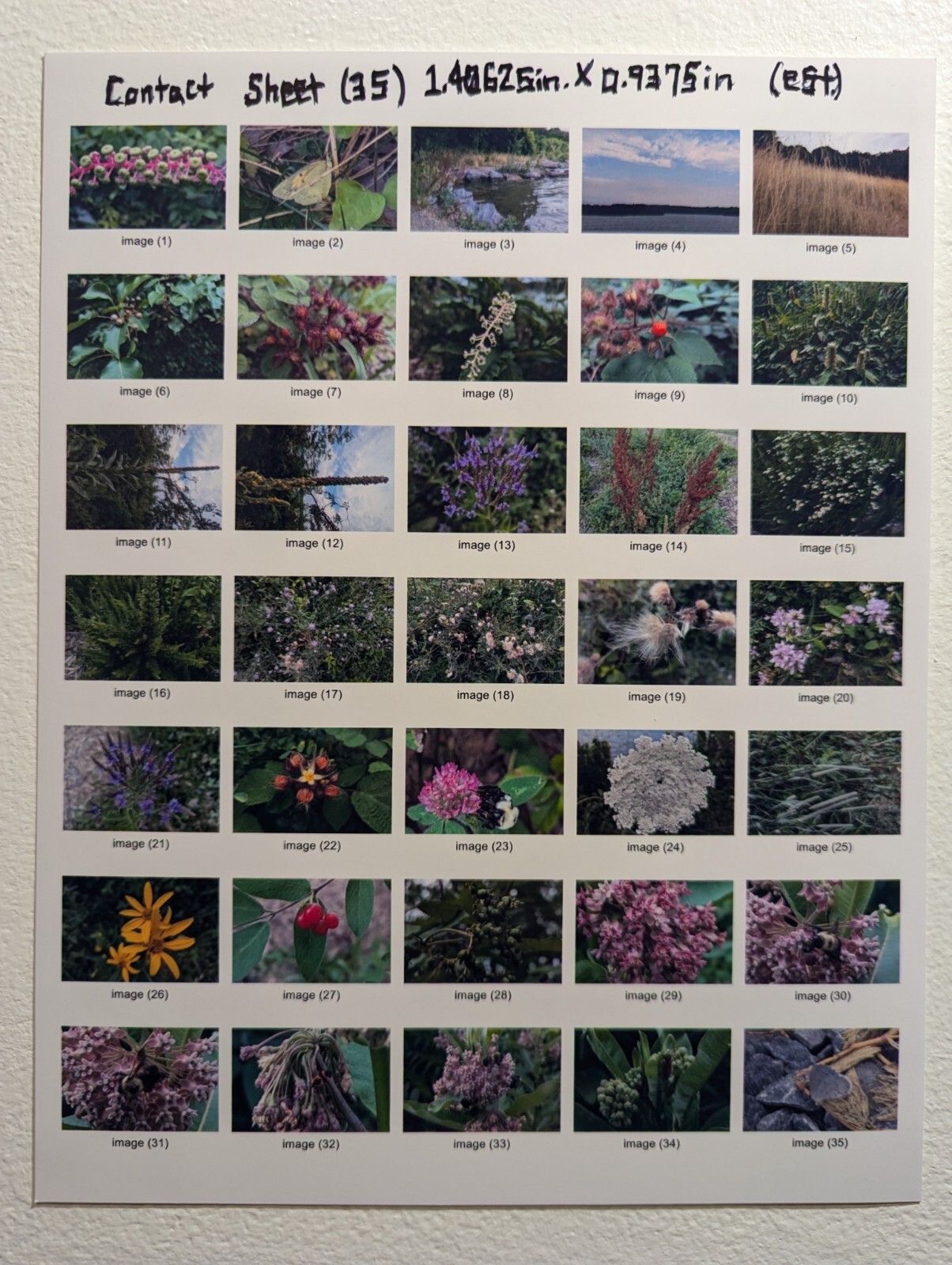 Service custom Print stickers of your pictures images photos glossy 8.5