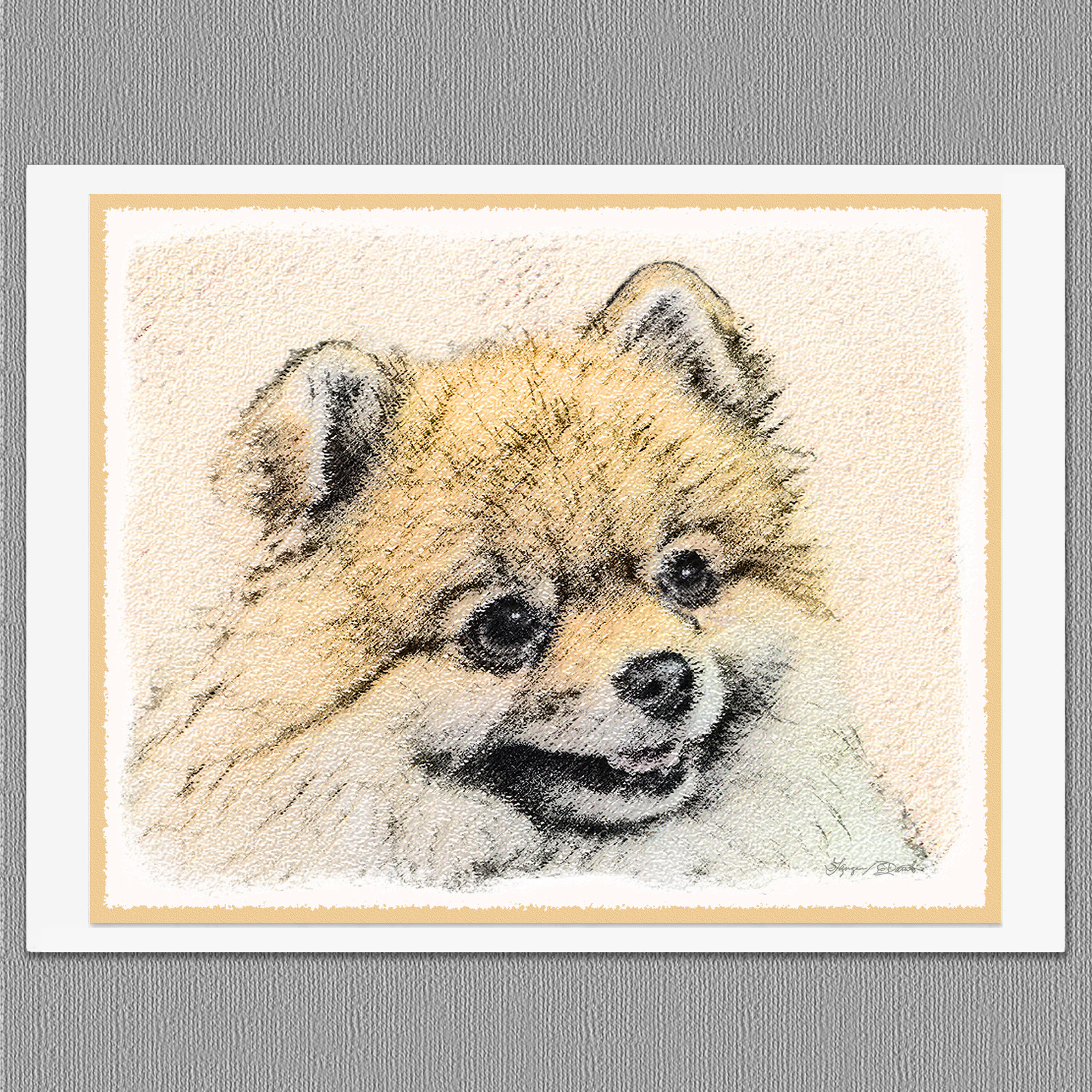 6 Pomeranian Orange Pom Blank Art Note Greeting Cards