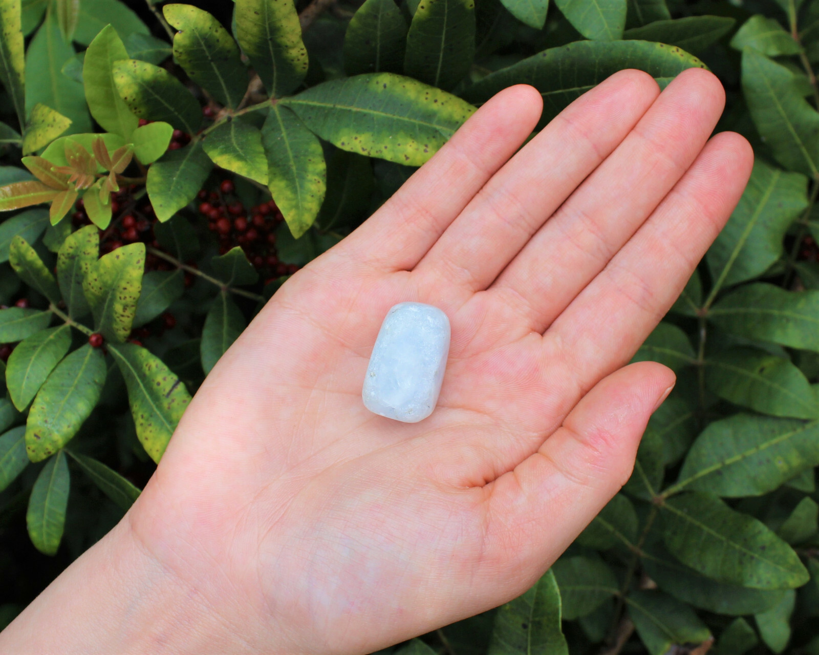 1 x Tumbled Stone Crystal: Choose From 130+ Types (Polished Gemstones)