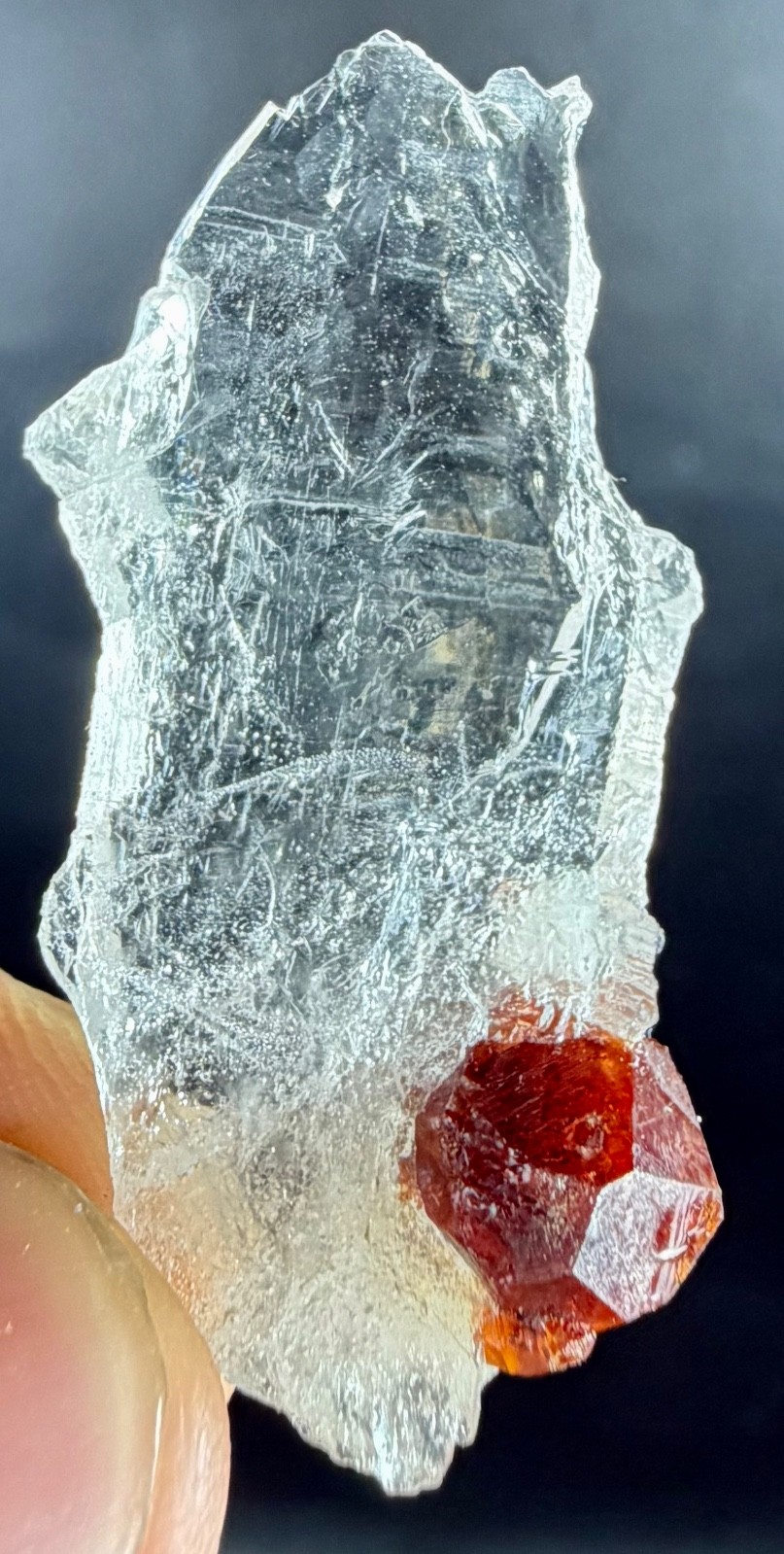 4 gram Natural Rare Red Garnet on Quartz crystal specimen @ mineral gemstone