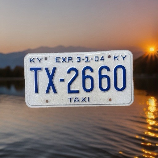 2004 Kentucky License Plate Taxi TX 2660