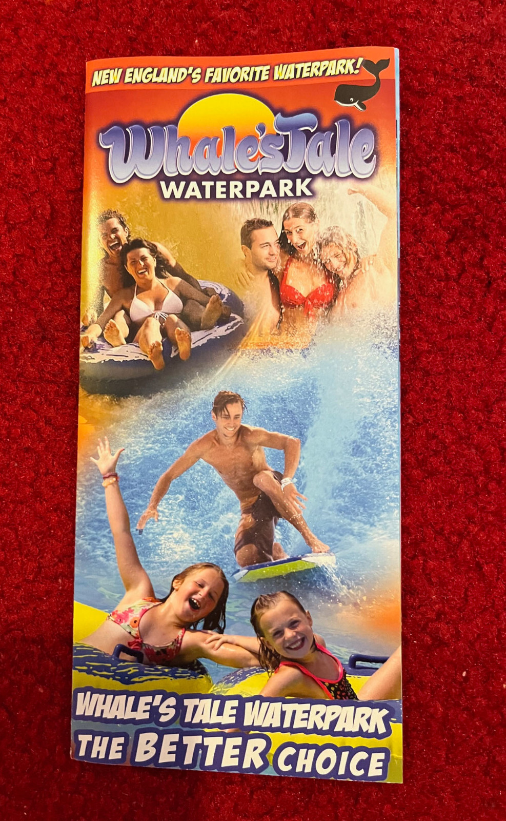 WHALE'S TALE WATERPARK Lincoln, NH  Color Brochure w/ Park Map White Mountains