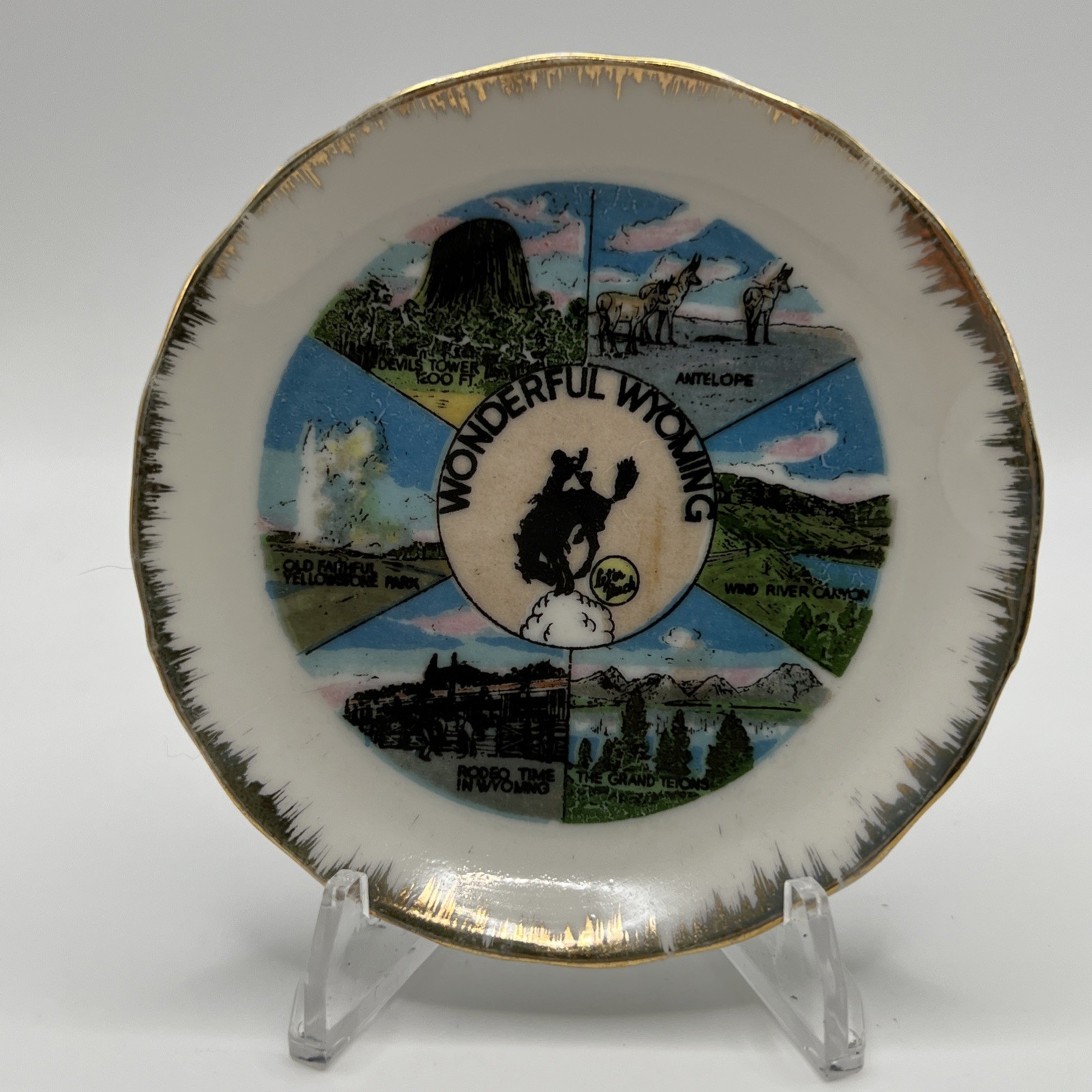 Vintage Wyoming State Souvenir Landmark Plate 3.5\