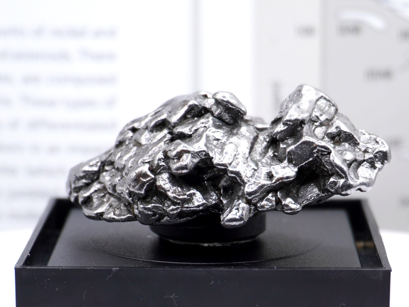 Authentic Campo del Cielo Meteorite | Certified Iron Space Rock from Argentina