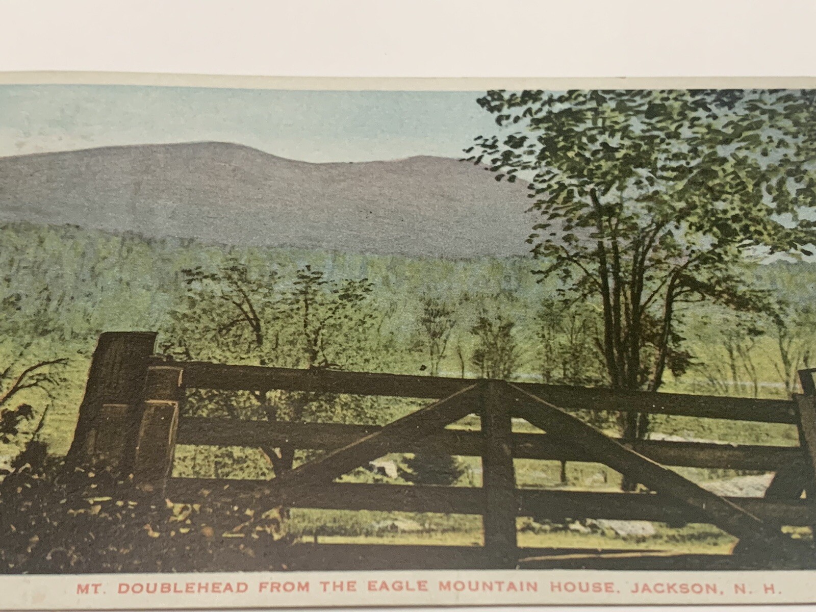 Mount Doublehead Eagle Jackson Mtn NH New Hampshire c1916 Postcard