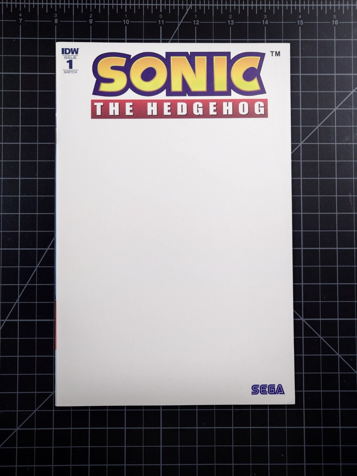 Sonic The Hedgehog #1 (2018) RARE Blank Sketch Cover IDW Comics VF+/NM