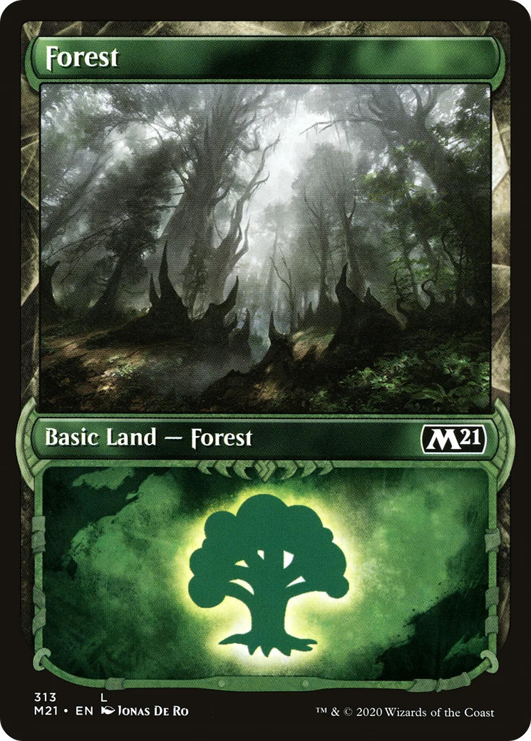 Forest (313) (Showcase) [Core Set 2021] Magic MTG