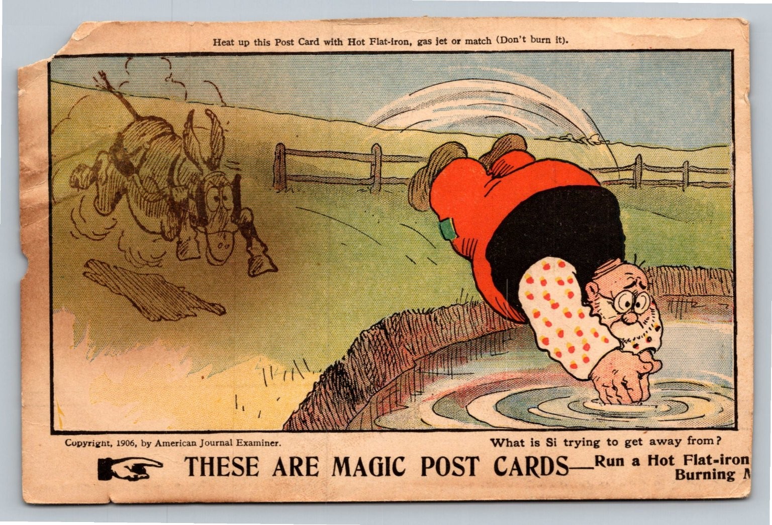 1906 Magic Heat Reveal Postcard - Humorous Man Donkey - American Journal
