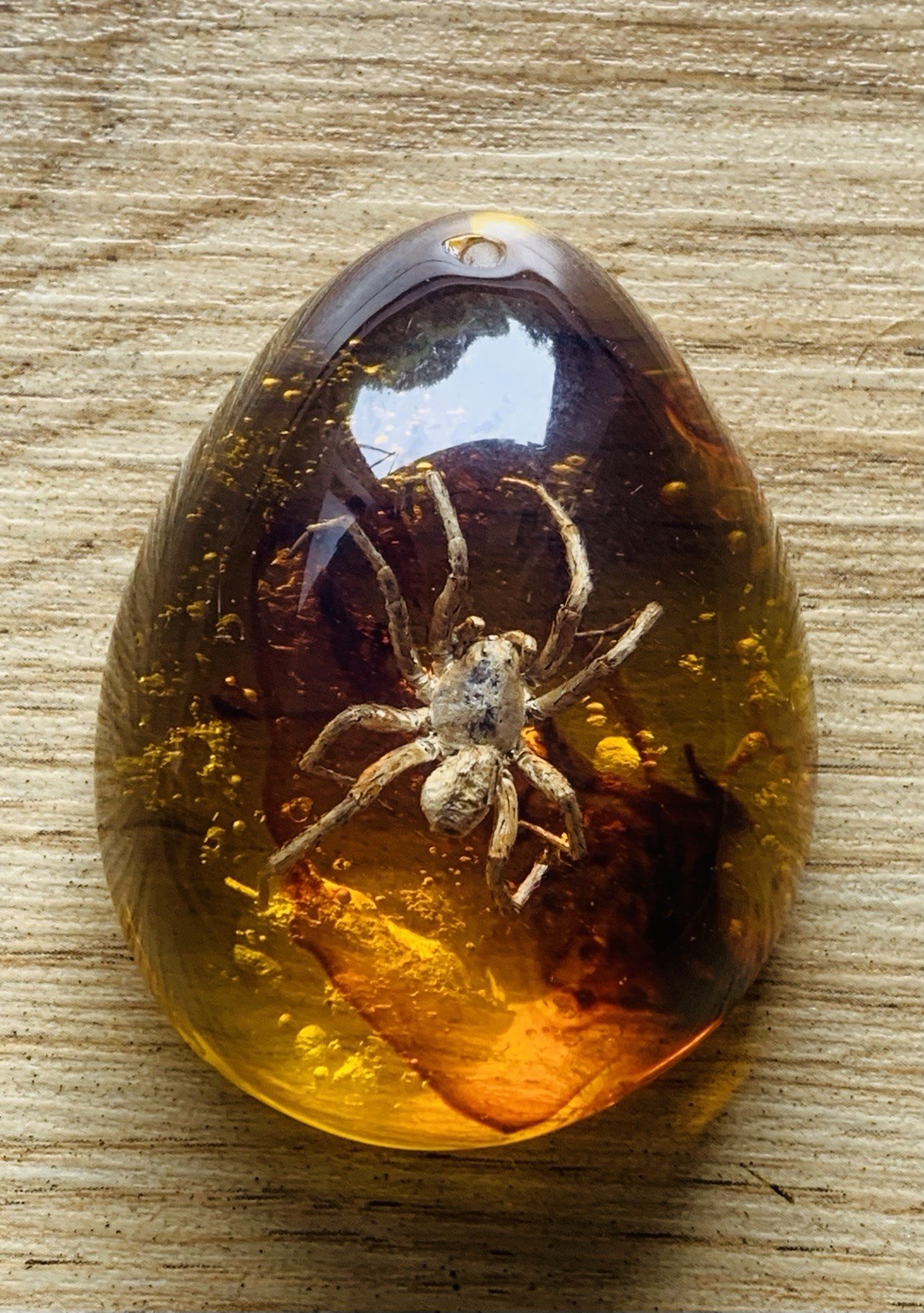 Polybern (Amber) Variety with Inclusion prehistoric spider 140 Million BC