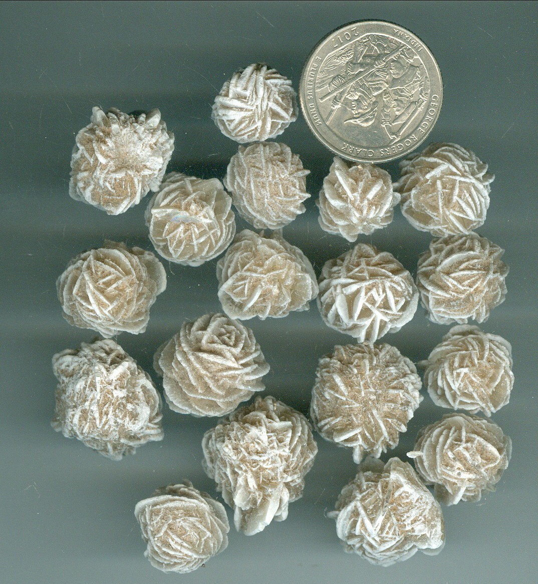 8 Ounces Natural Selenite Crystals Desert Rose Rough Petite Desert Rose pieces