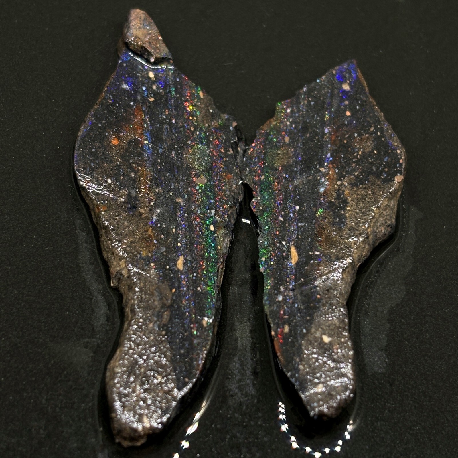 Gorgeous Color Sparkling Black Tablon Honduran Butterfly Opal Pair