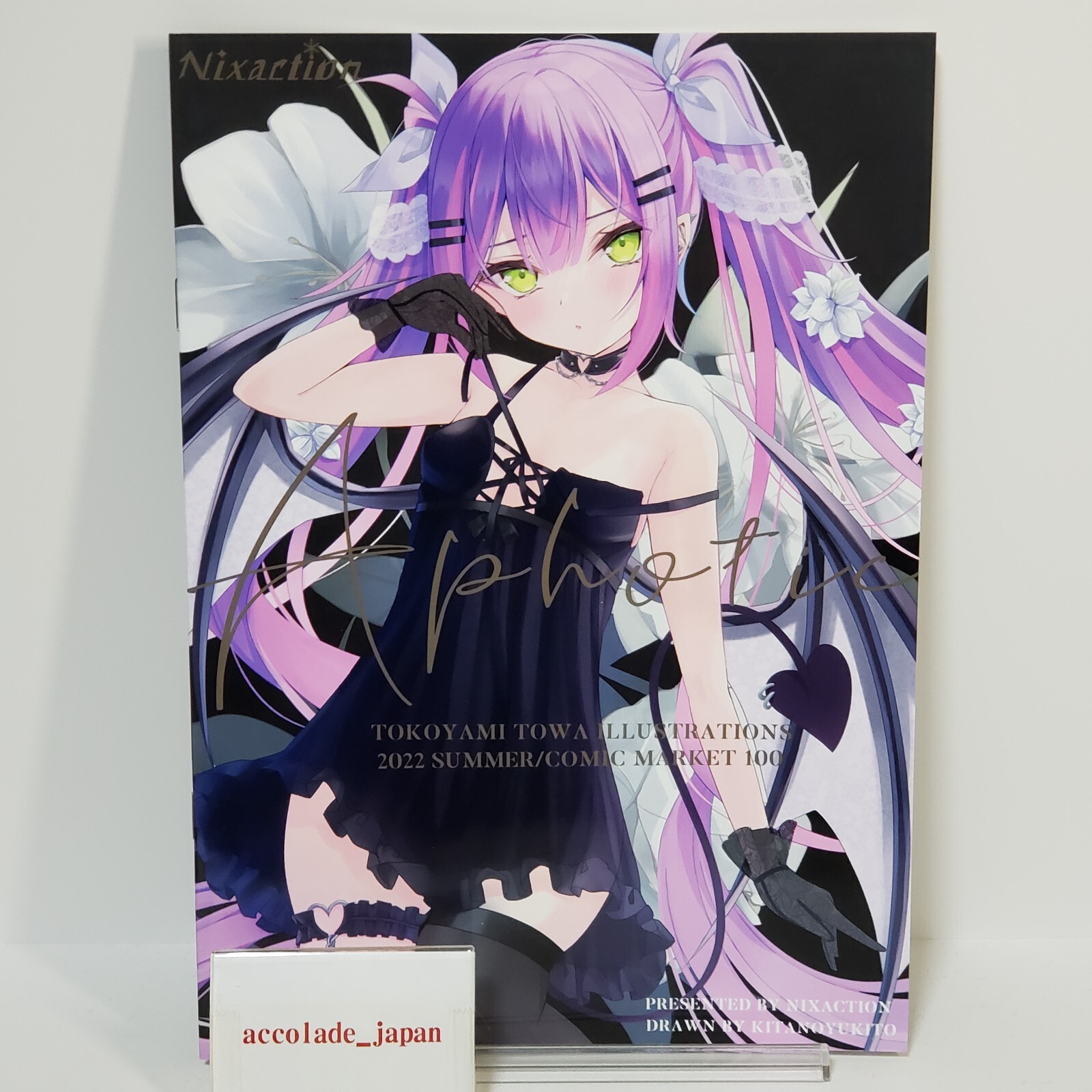 Aphotic Hololive Tokoyami Towa Art Book Nixaction B5/20P Doujinshi C100