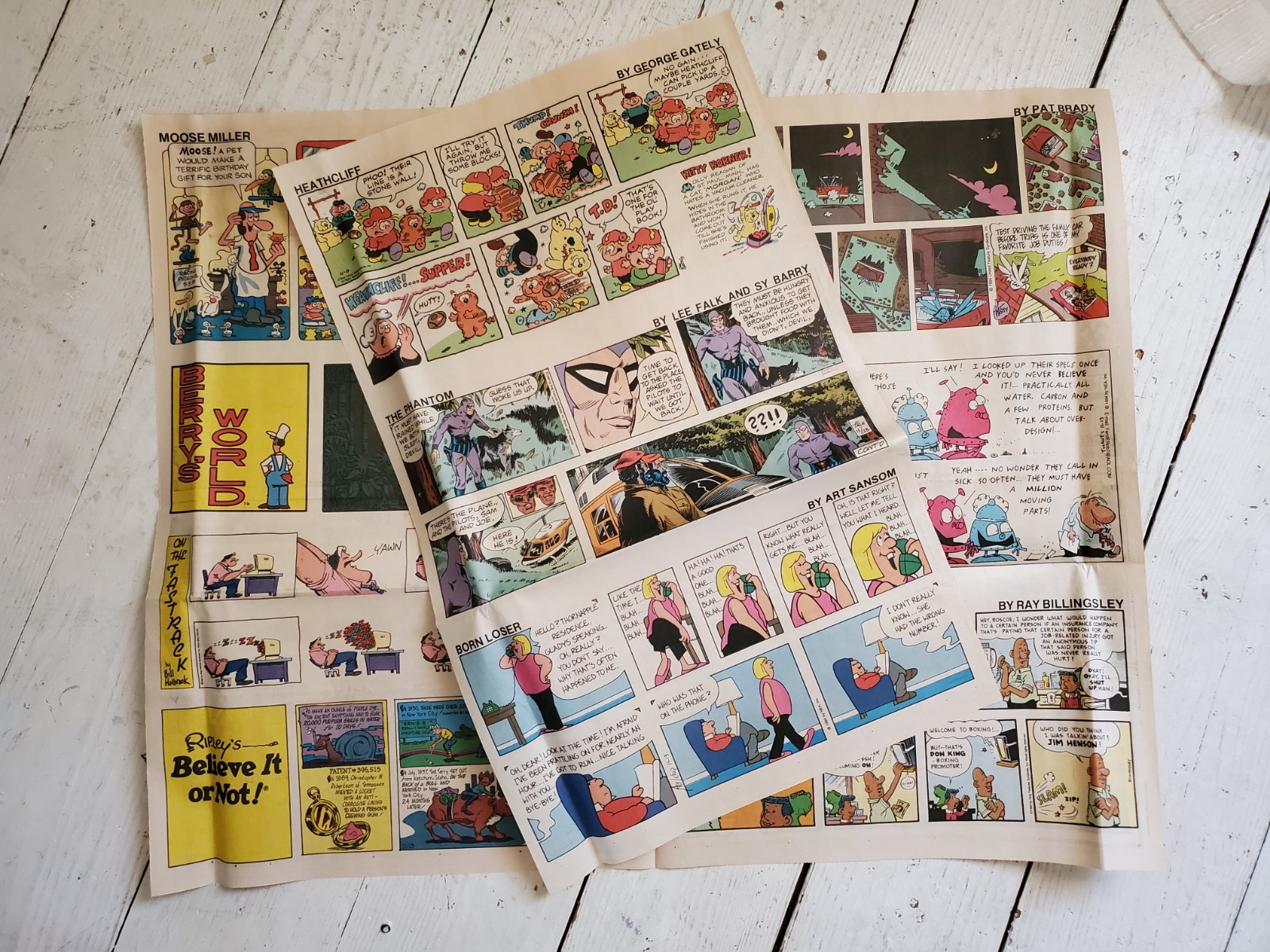 1994 Full Sunday Comics Section 6 Full Pages Garfield Mickey Mouse