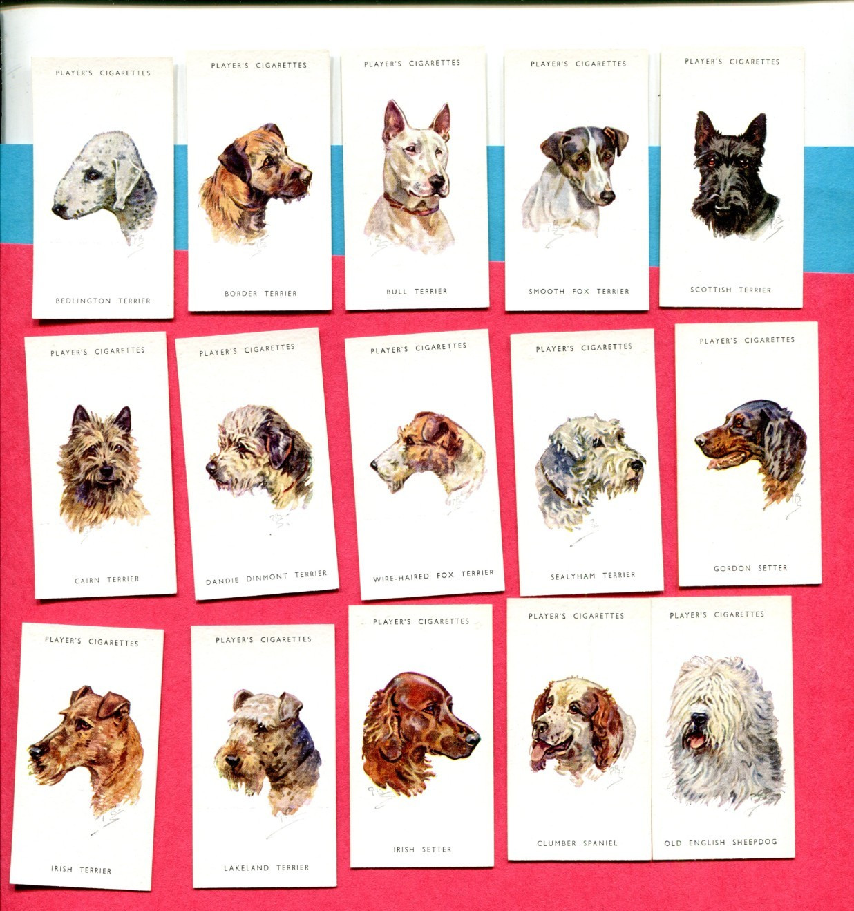 1940 JOHN PLAYER & SONS DOGS\' HEADS 15 DIFFERENT TOBACCO CARD LOT