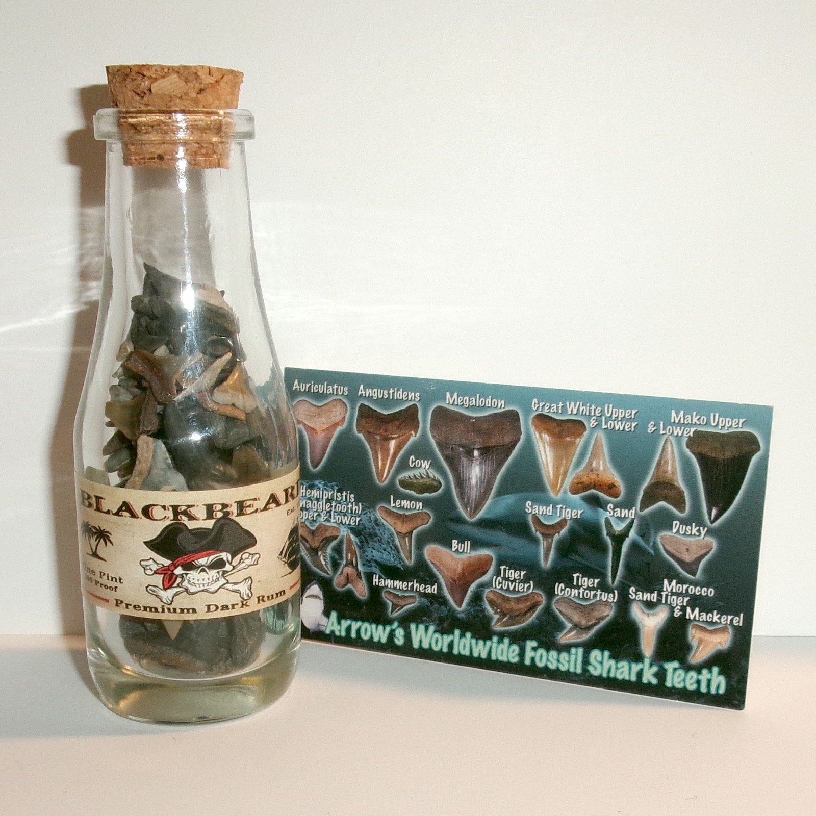 Shark Teeth Pirate Rum Bottle with 150+ Sharks Teeth and Shark Tooth Guide, COA