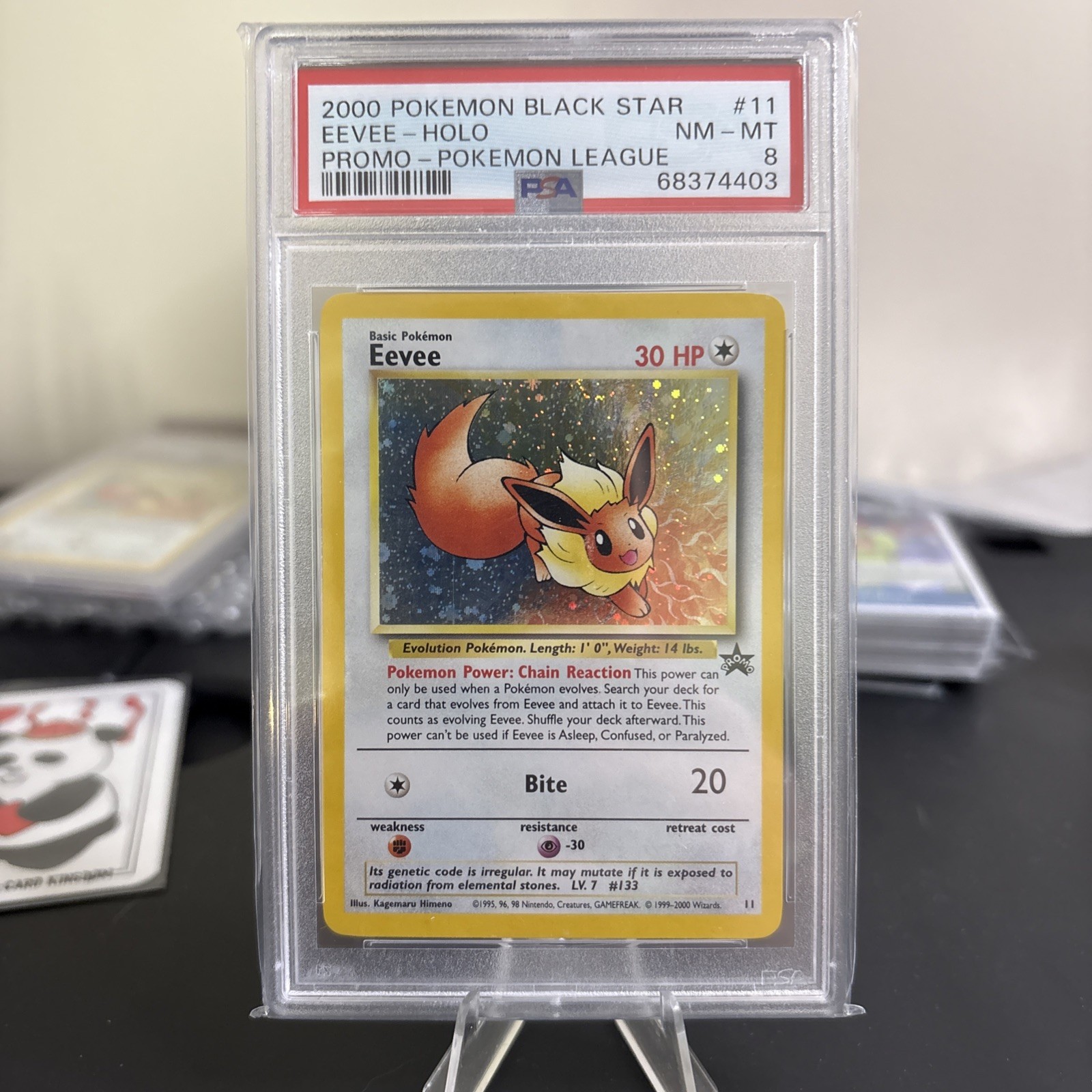 2000 Pokemon Eevee Holo Blackstar Promo PSA 8 # 11 Wizards of the Coast Promo