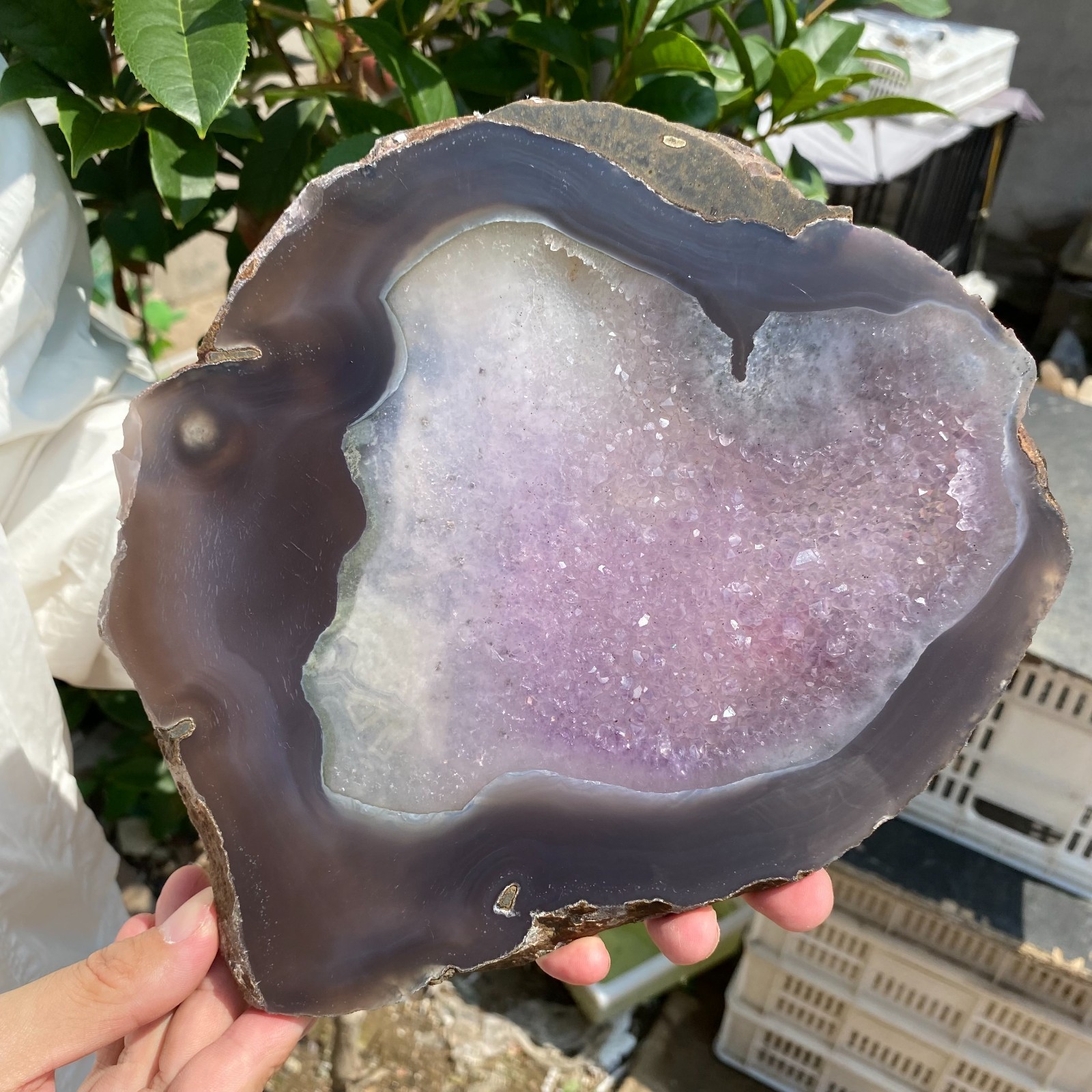 2.3LB Natural Amethyst agate geode quartz cluster crystal specimen Healing