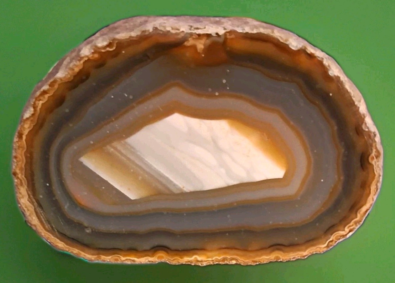 1 lb 1.7 oz — Brown/Gray Banded Agate