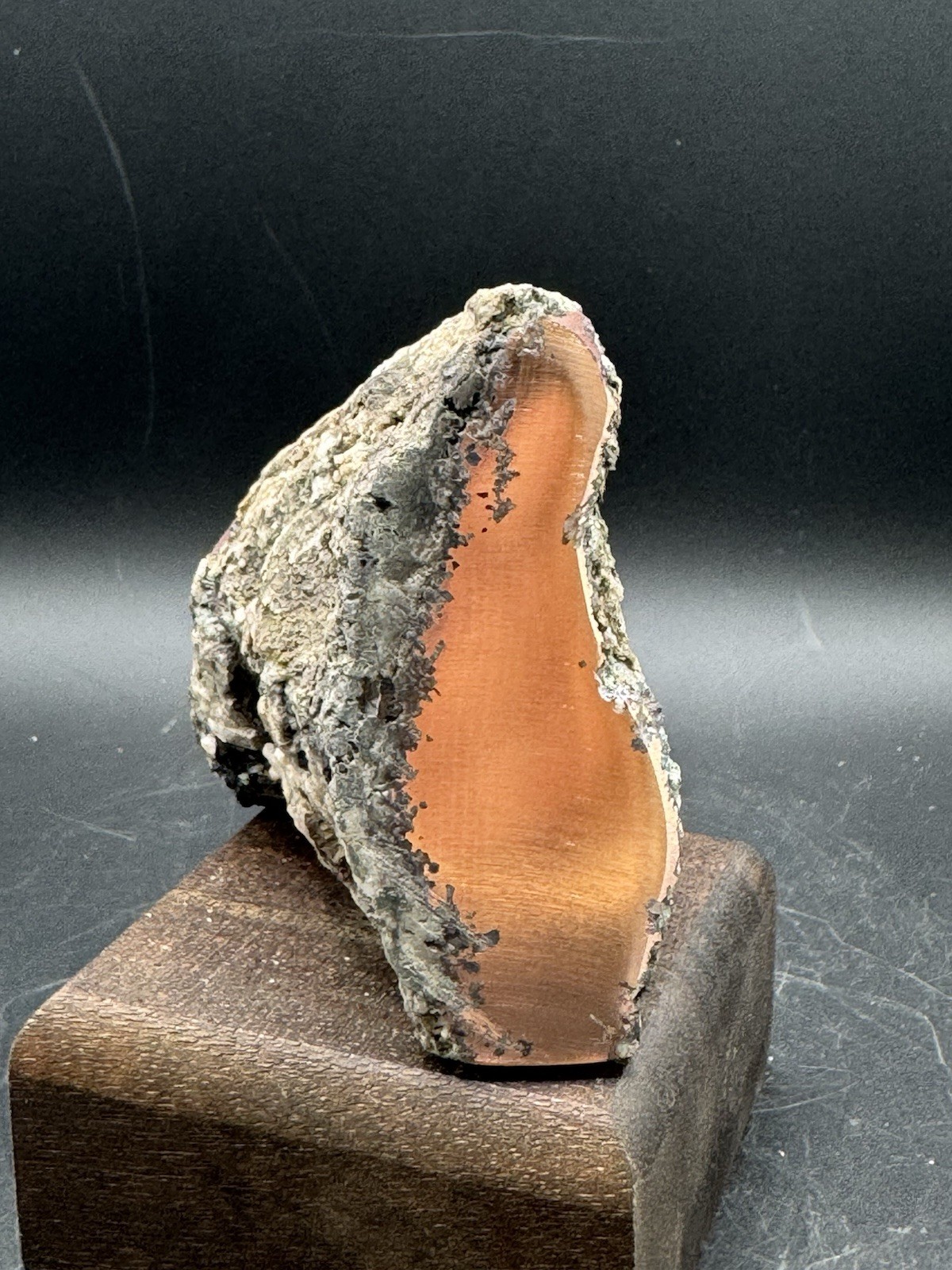Michigan Native Float Copper 1.5 lb – Windowed Freestanding Display Specimen