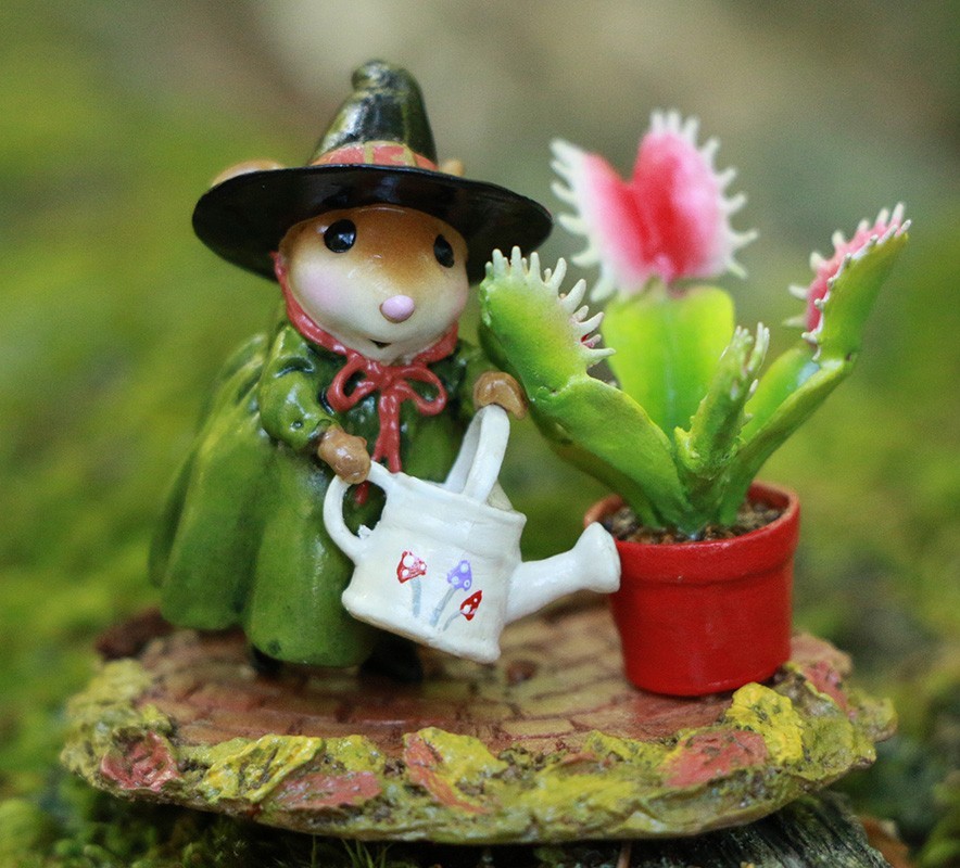 Wee Forest Folk M-769 Venus\'s Green Thumb