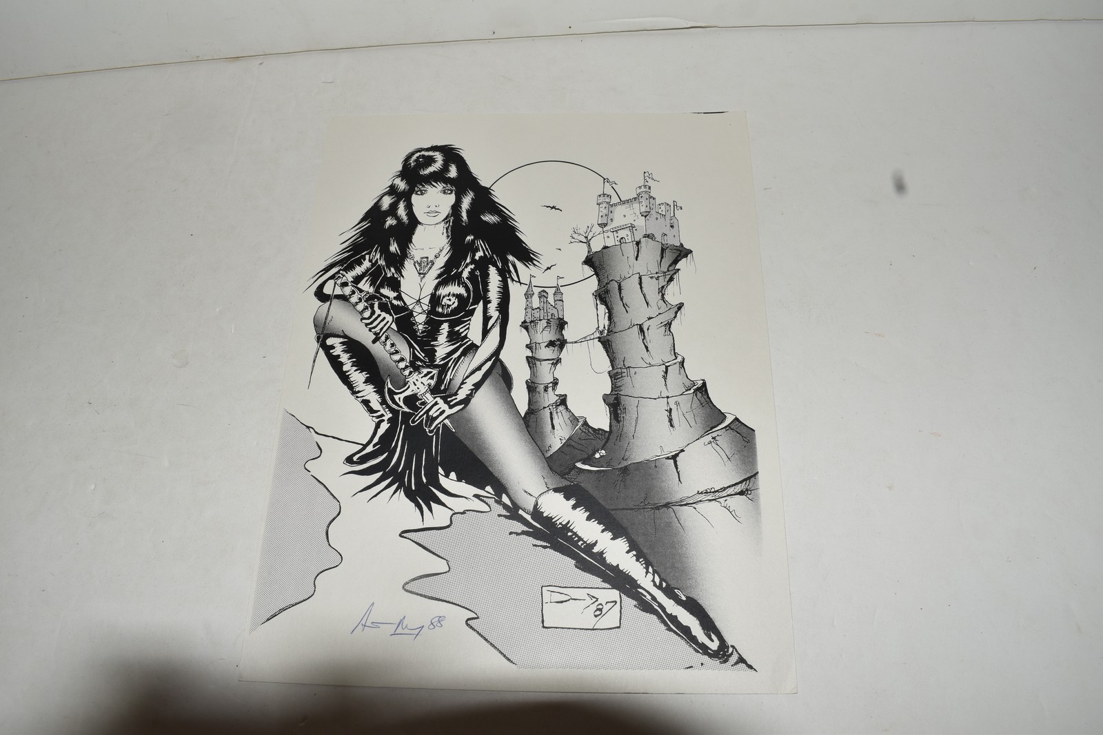 VAMPIRELLA / ELVIRA COMIC STYLE PINUP ART- STAN DAY SIGNED -  (BGH57)