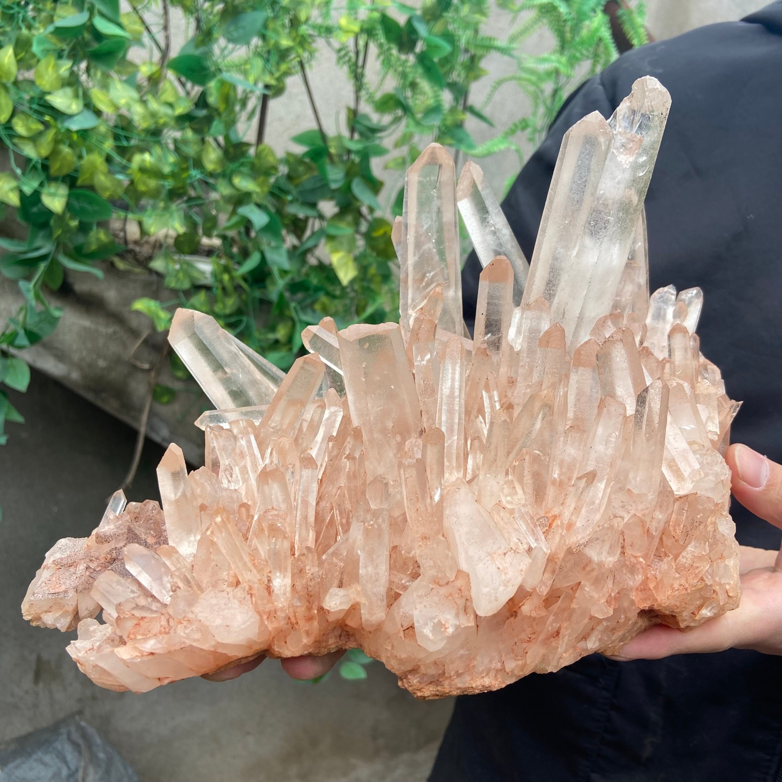 8lb Natural Clear PINK White Quartz Crystal Cluster Rough Healing Specimen