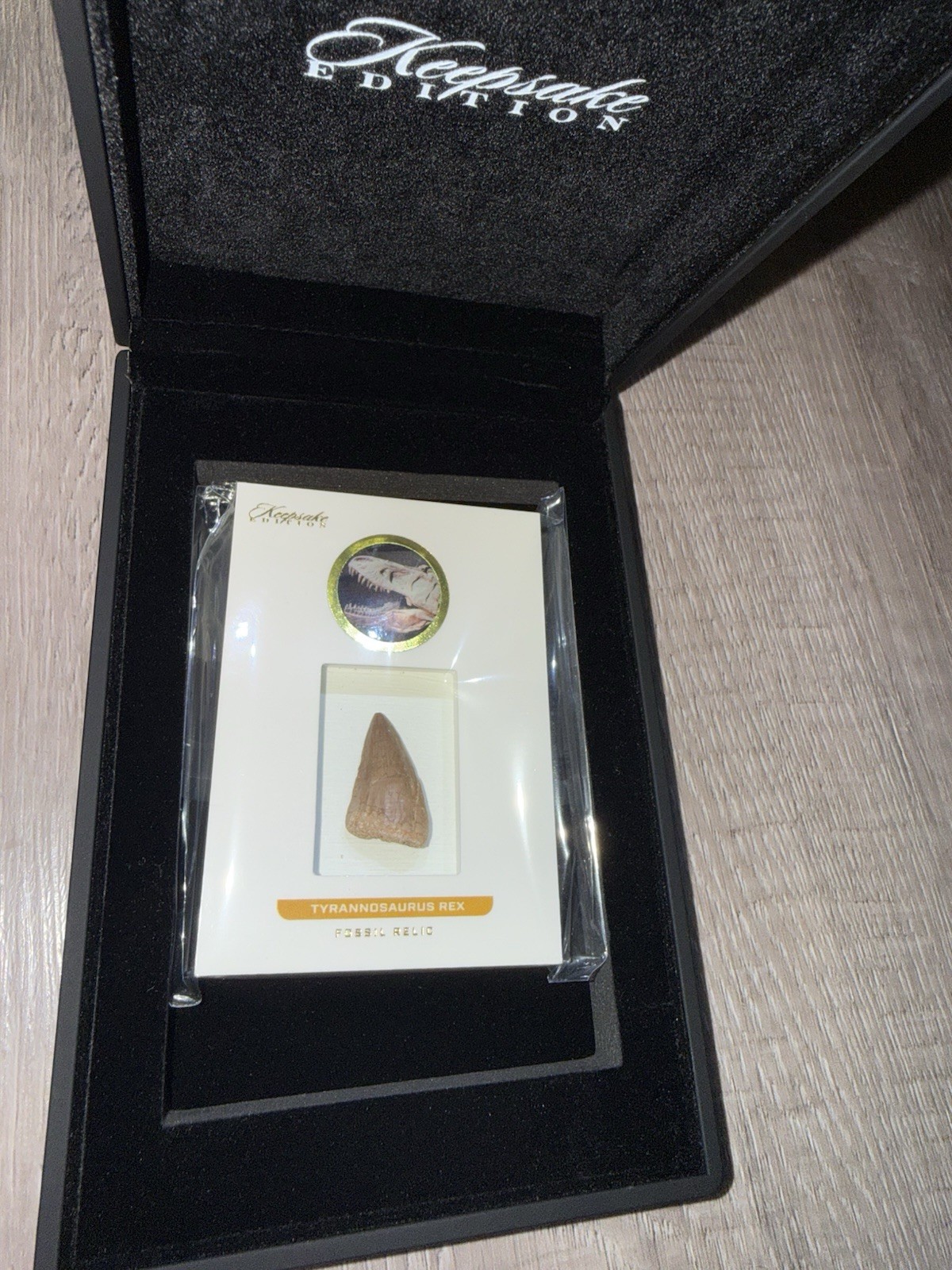 2023 Super Break Keepsake Edition Tyrannosaurus Rex Tooth T-Rex #34/50